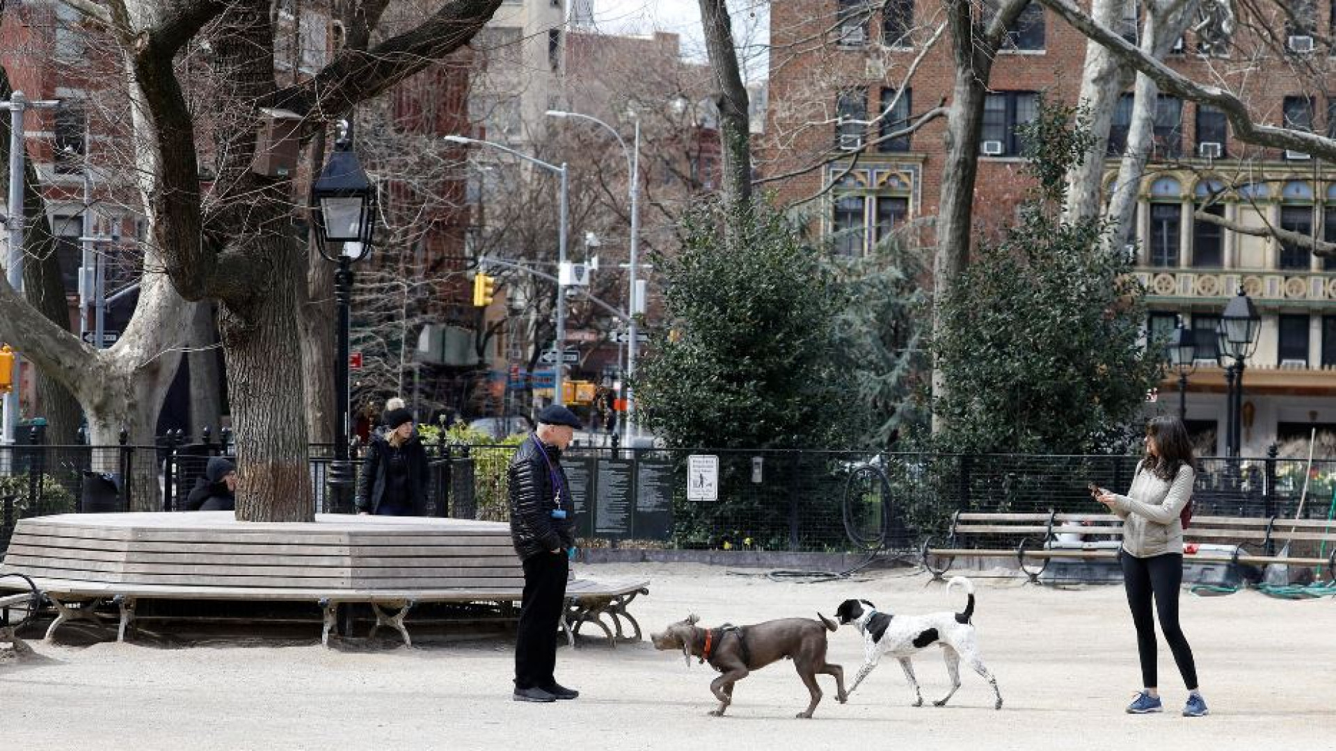 Immagine di Proposto a New York il congedo per malattia dell'animale domestico