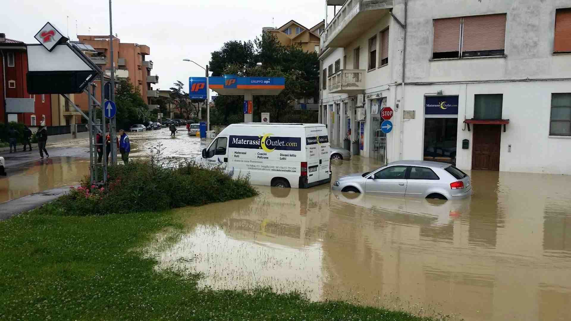 Immagine di Confcooperative: ecco il nostro impegno per la sostenibilità