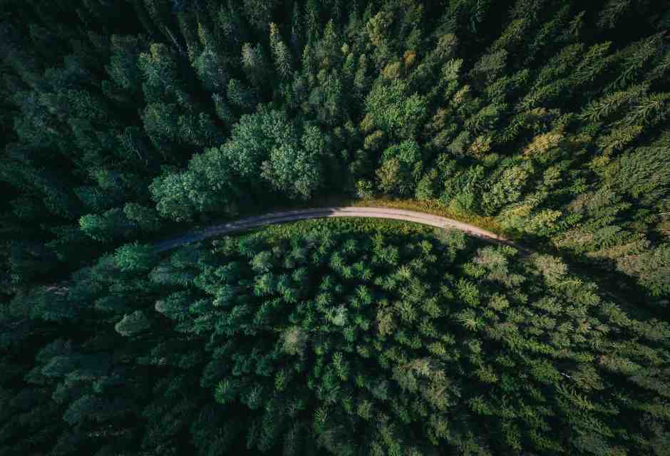 (foto di Geranimo su Unsplash)