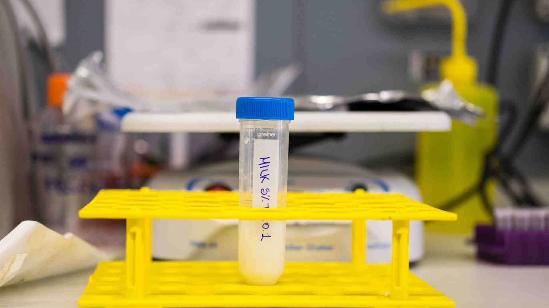 Immagine di Il concetto di specie e il vantaggio della modifica genetica
