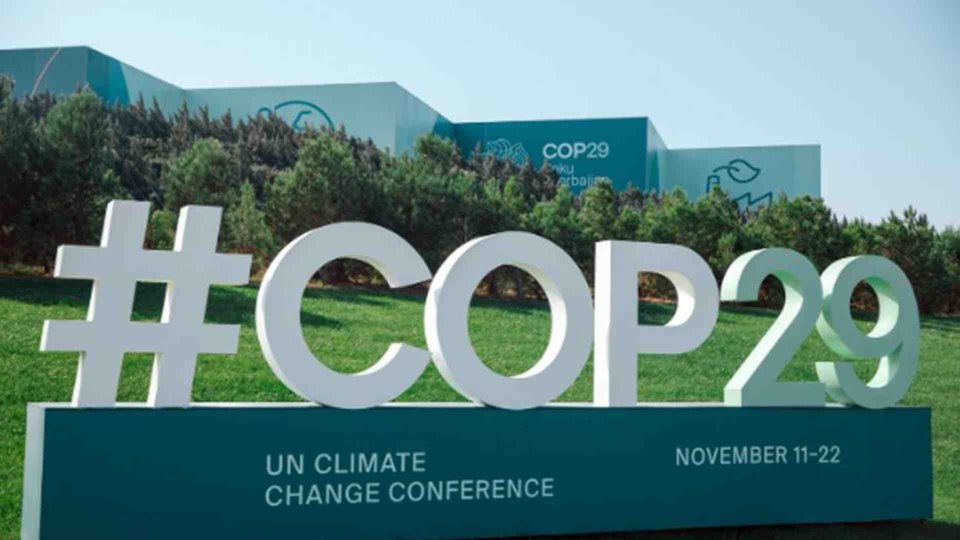 Immagine di Che cos'è la Cop e quali sono gli obiettivi della conferenza di Baku