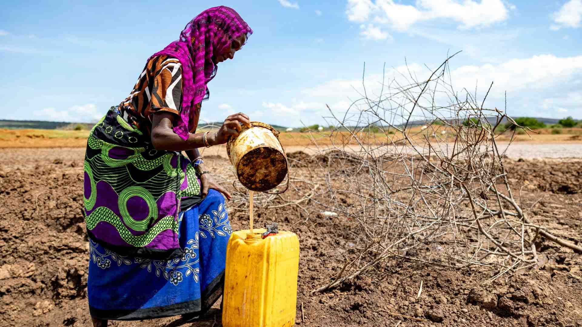 Immagine di Fame in crescita con clima e guerre: ne soffre 1 persona su 11