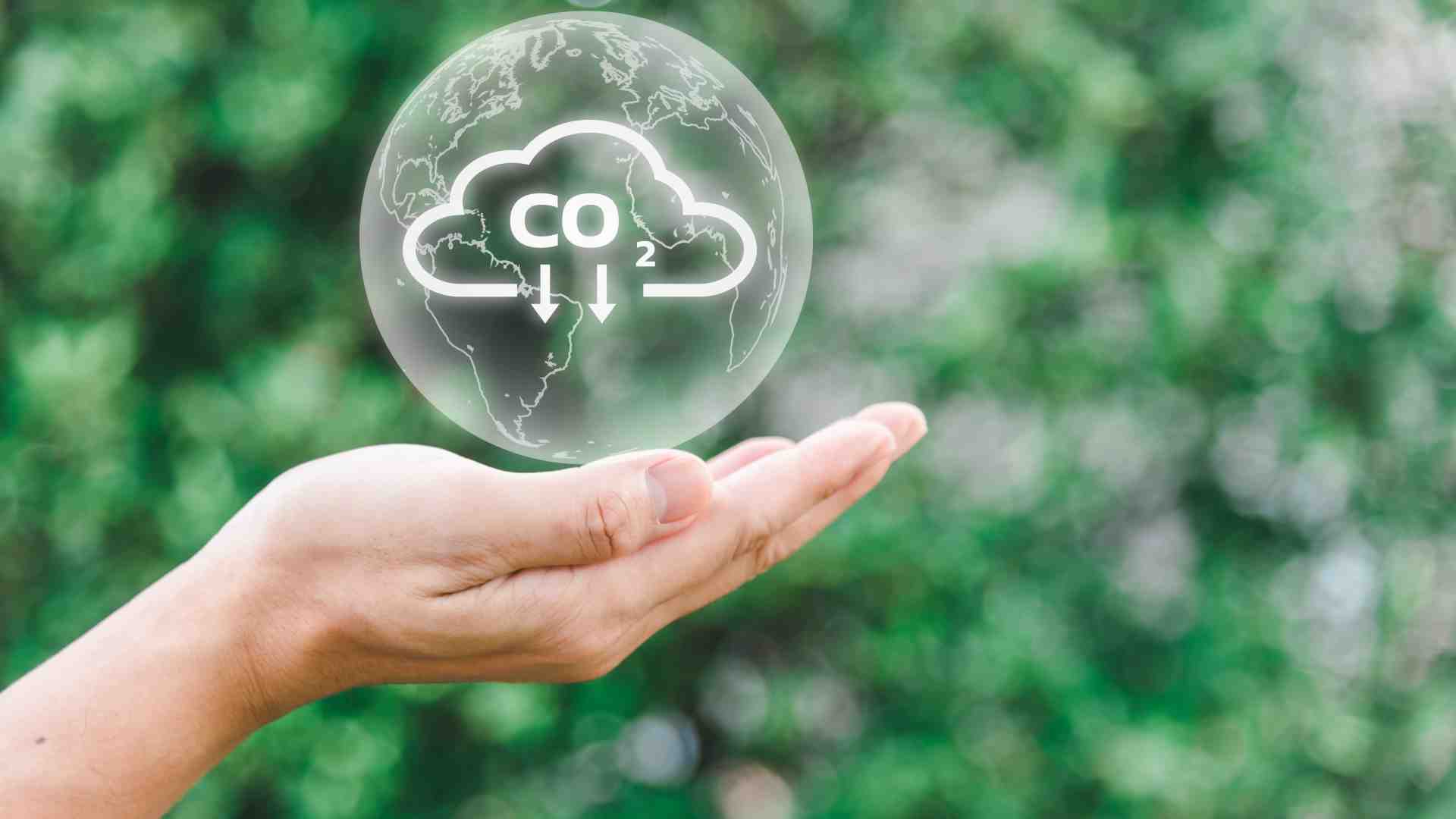 Immagine di Per Trump il cambiamento climatico è «una bufala»: Cop29 a rischio
