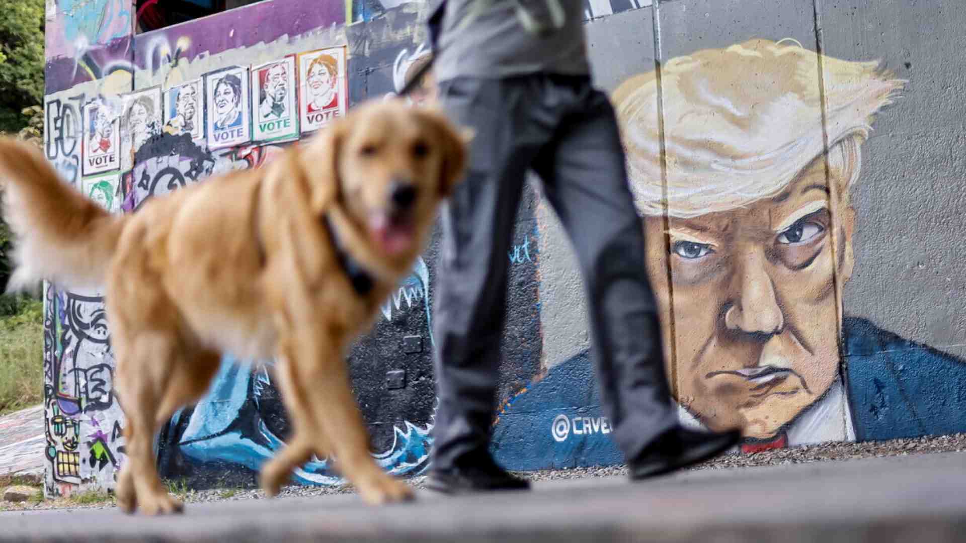 Immagine di Mangiavano cani e gatti, hanno votato Trump perché gli cambi il menù