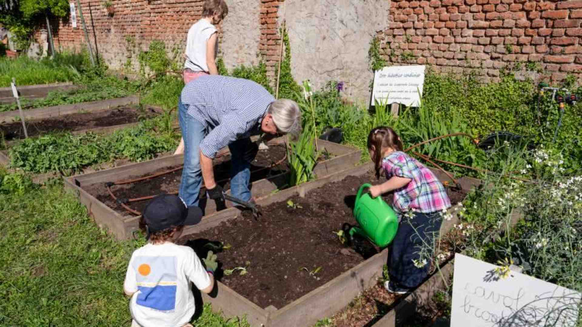 Immagine di Cascina Cuccagna ha messo Radici: «Ricuciamo speranze e tessuto sociale»