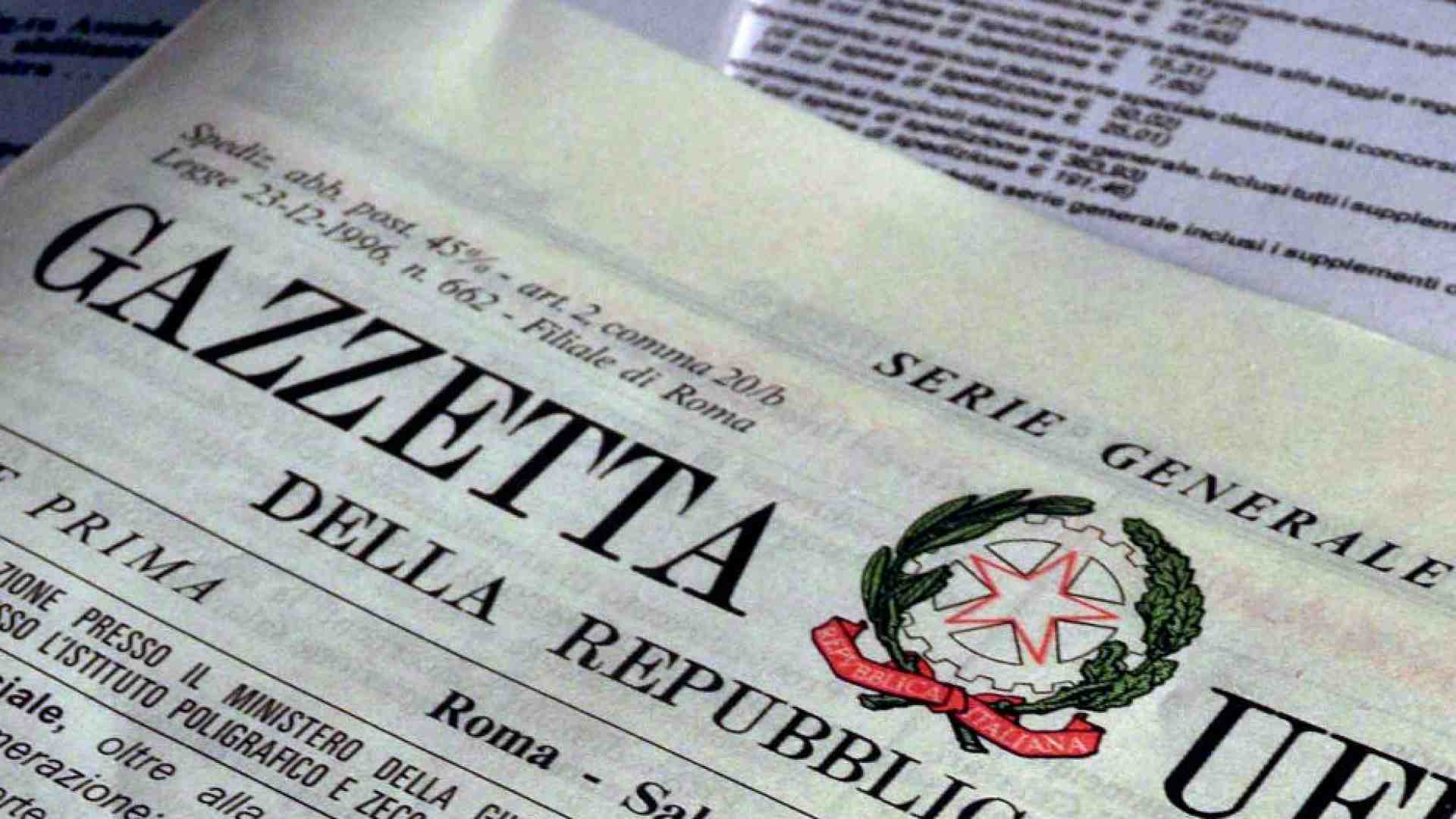 Immagine di Maternità surrogata, la legge che la vieta entra in vigore