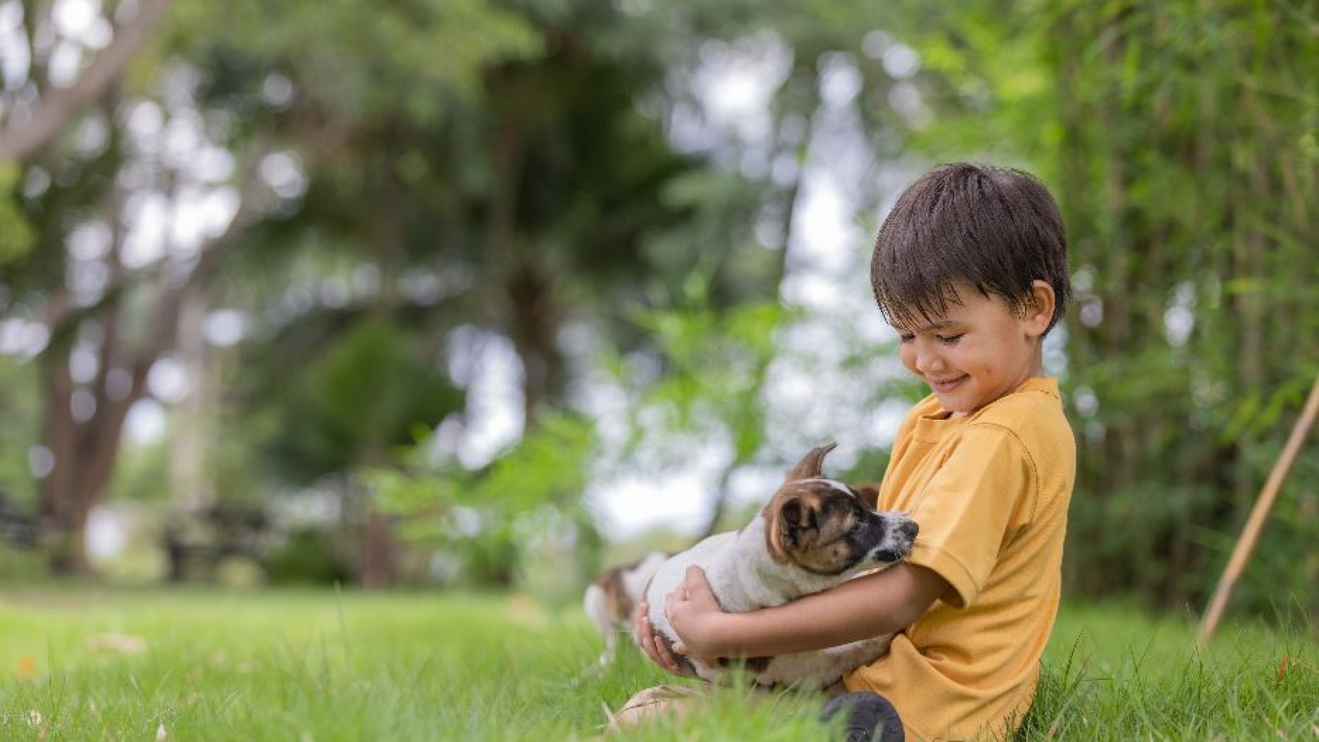 Immagine di “Farsi piccoli” è libertà