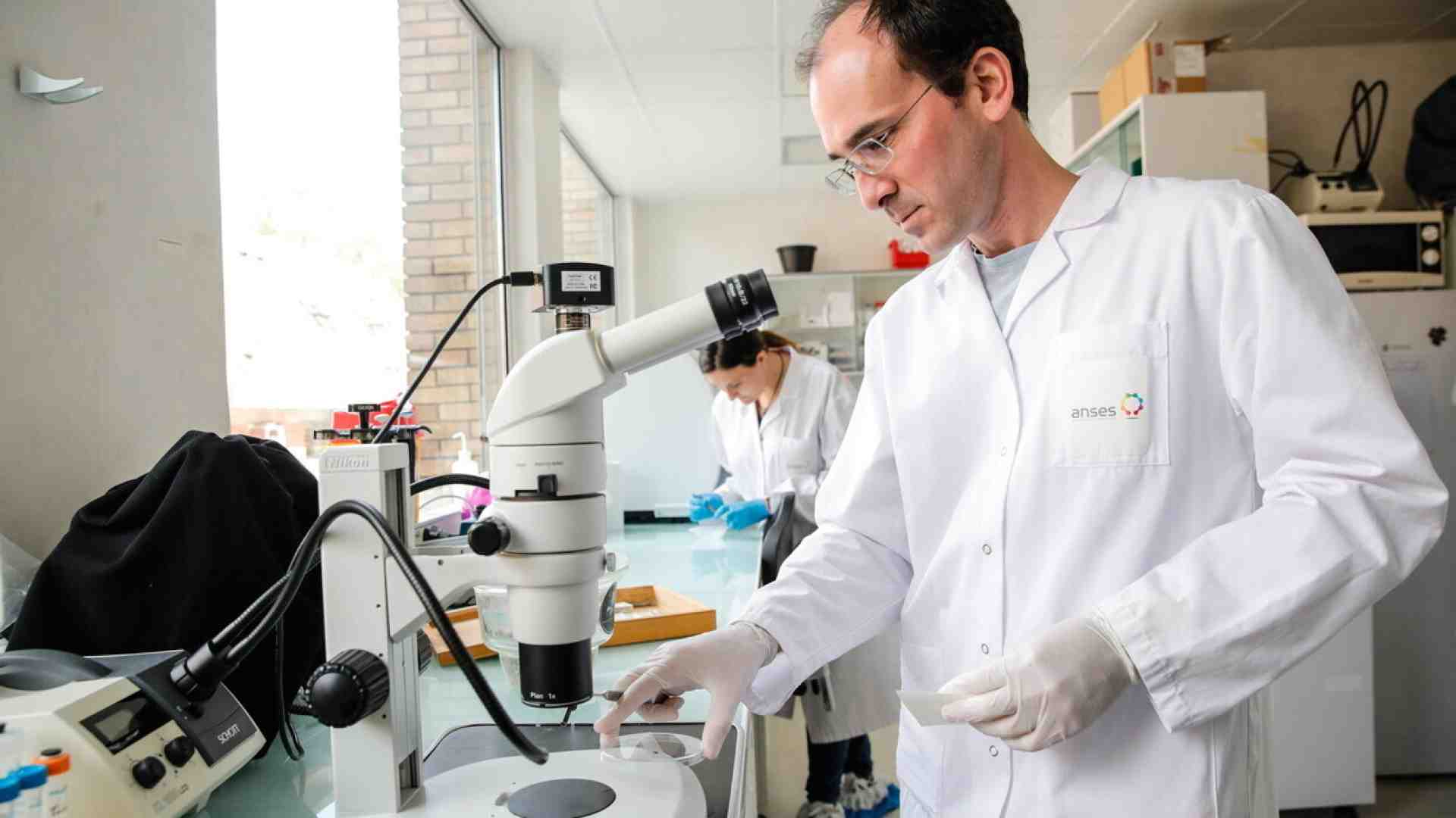 Immagine di La pandemia che non vogliamo vedere: quella dei batteri resistenti ai farmaci
