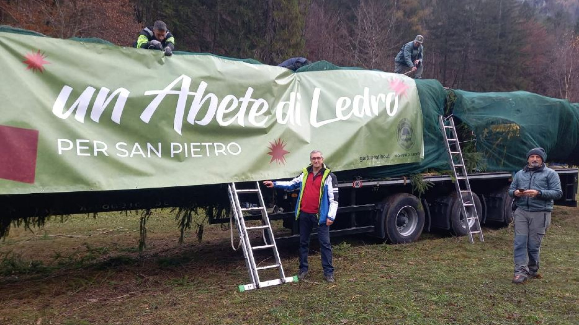 Immagine di La vera storia dell'abete di Natale per piazza San Pietro