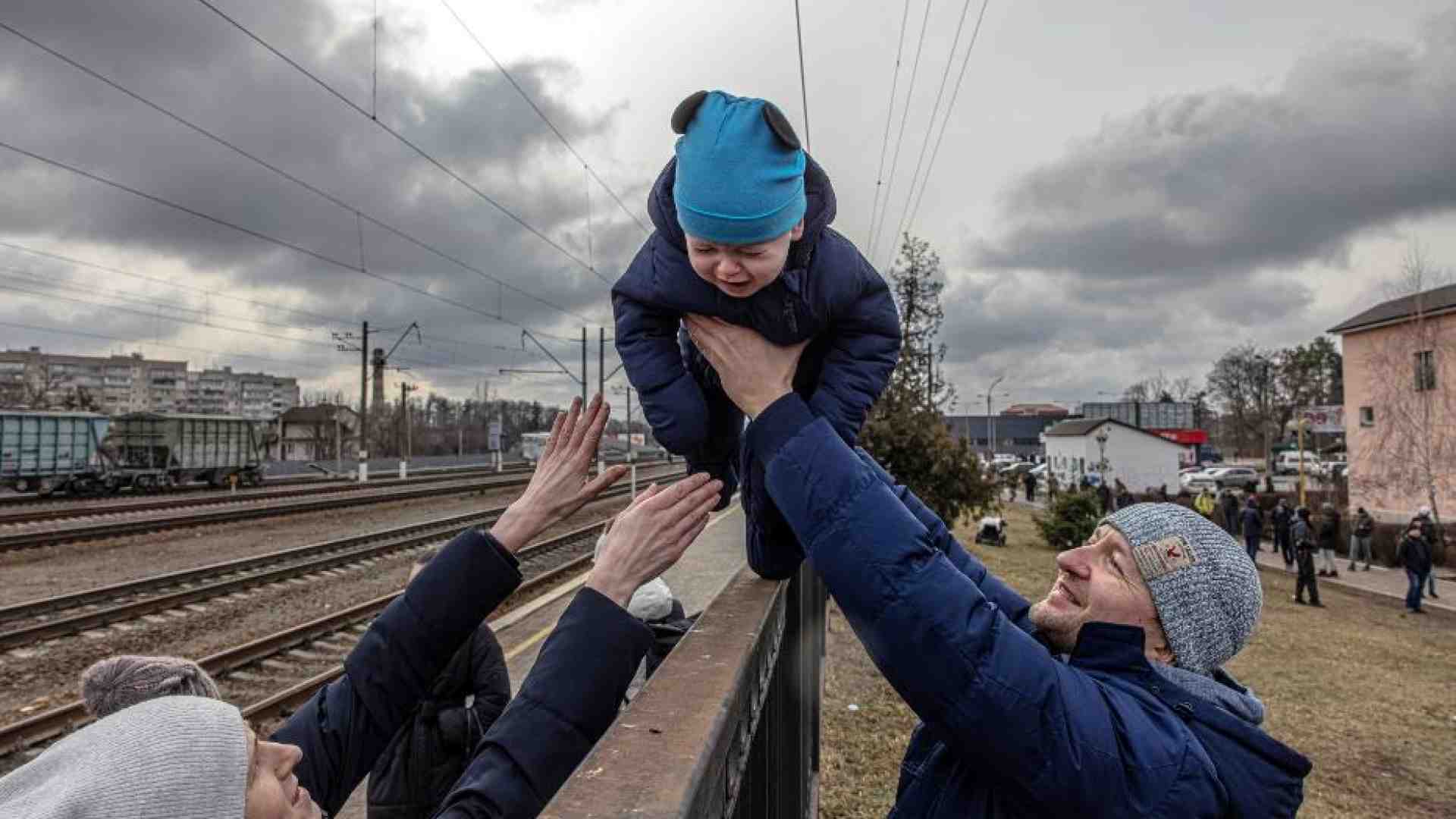 Immagine di Il Papa: il Signore chiederà conto di tutte lacrime sparse in Ucraina