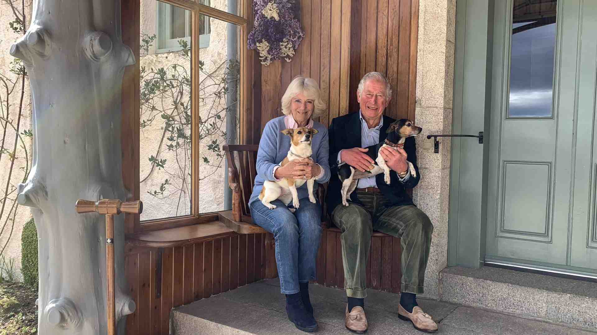 Immagine di In memoria di Beth, la Jack Russell della Regina Camilla