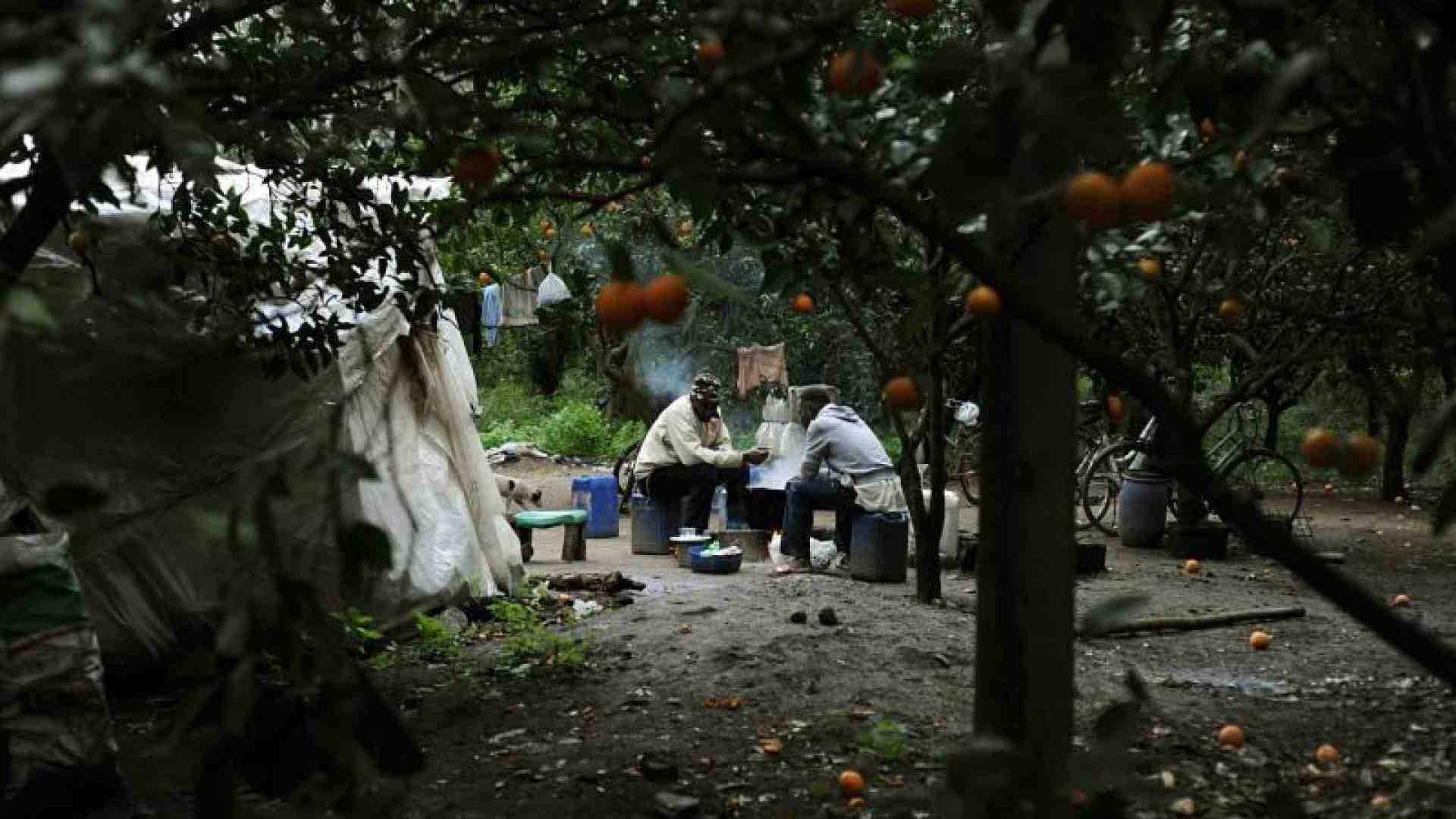 Immagine di «La ribellione dei braccianti? Sindacato e politica agiscano»
