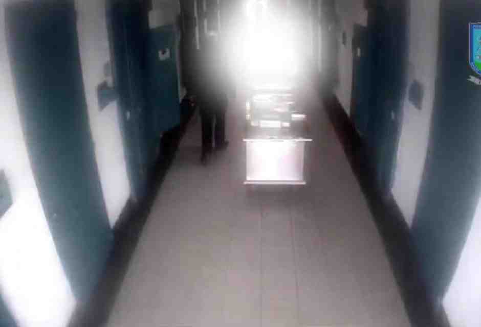 Foto Ansa