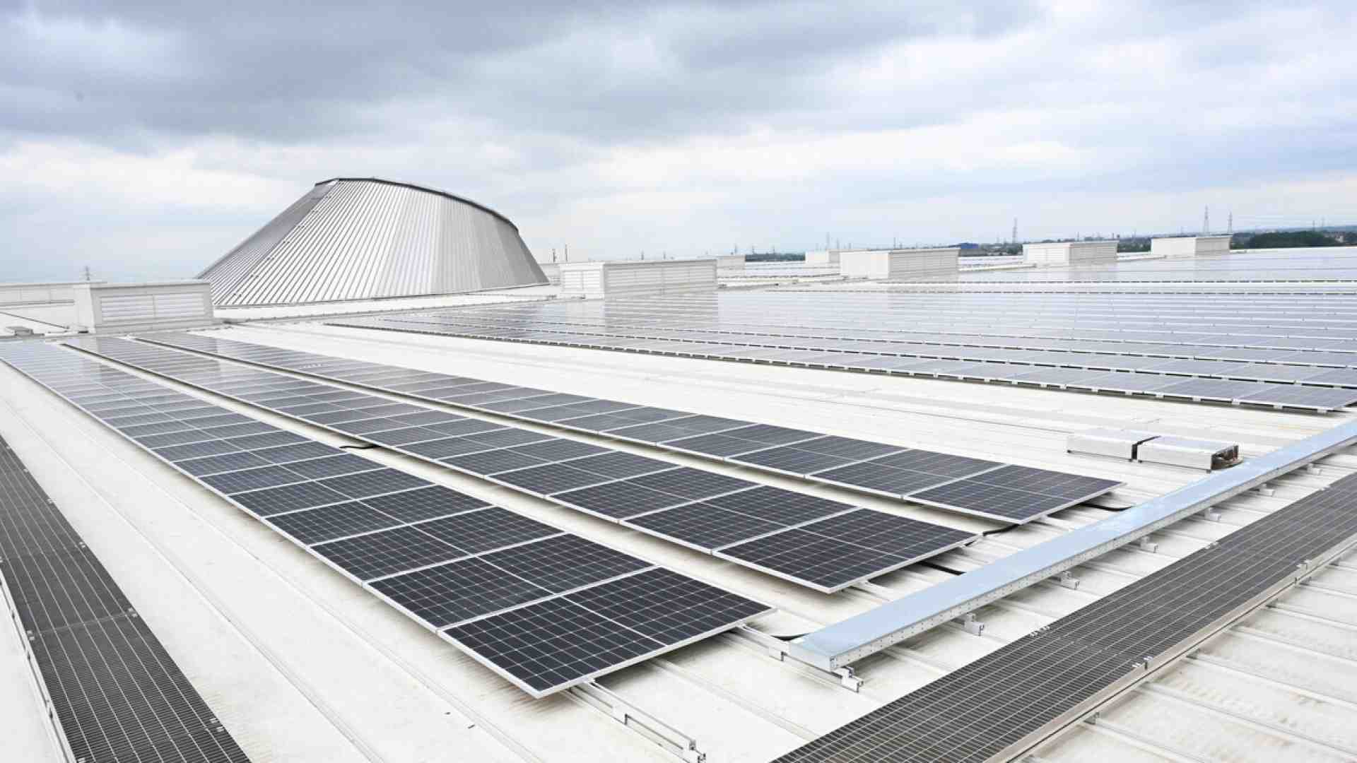 Immagine di La transizione climatica potrebbe costare meno del previsto