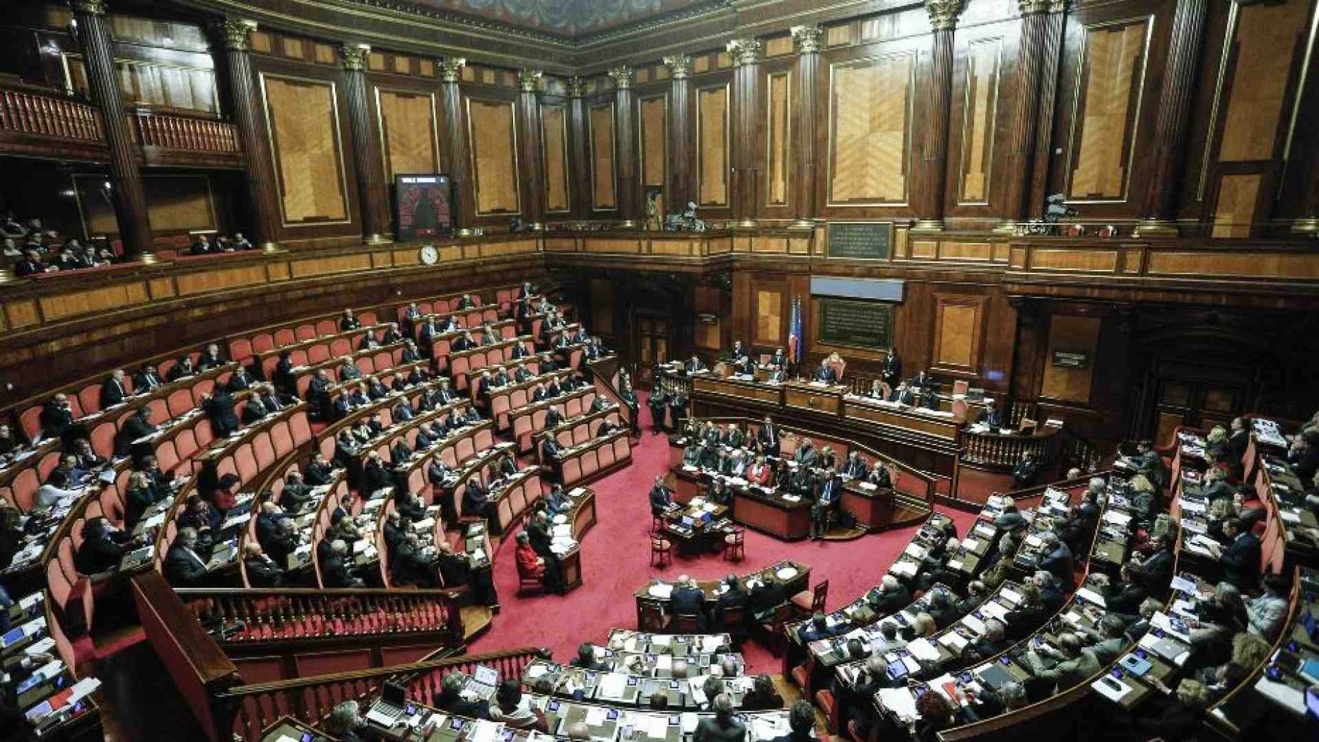 Immagine di Concluse le audizioni al Senato, ma la strada è ancora lunga