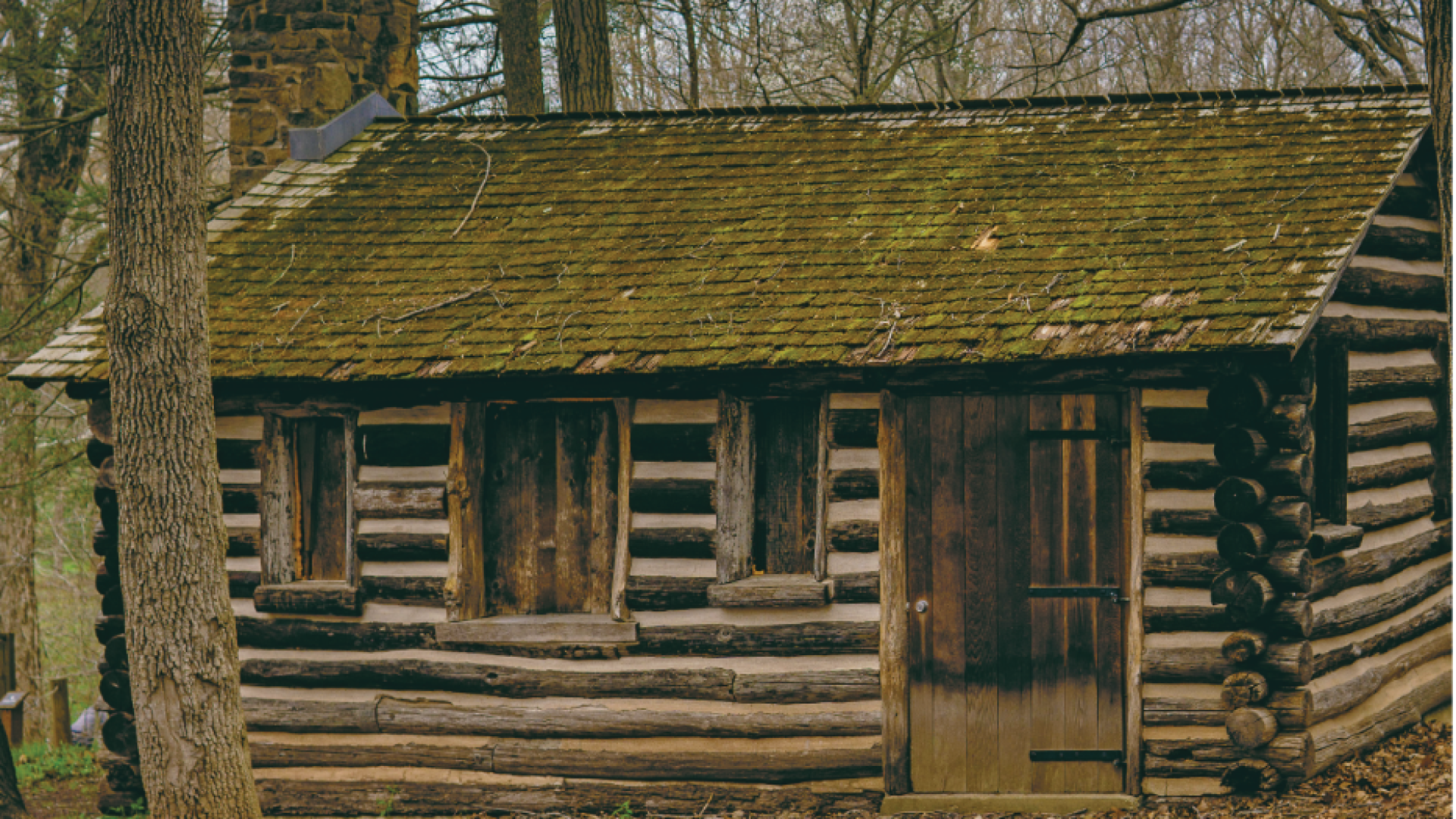 Immagine di Will Jones: «Così mi sono costruito una casa nel bosco»
