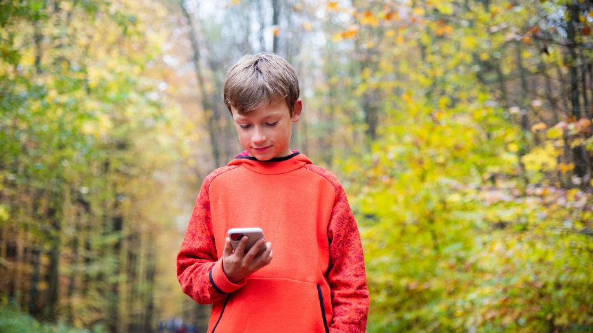 Immagine di L'Australia vieta i social media ai minori di 16 anni