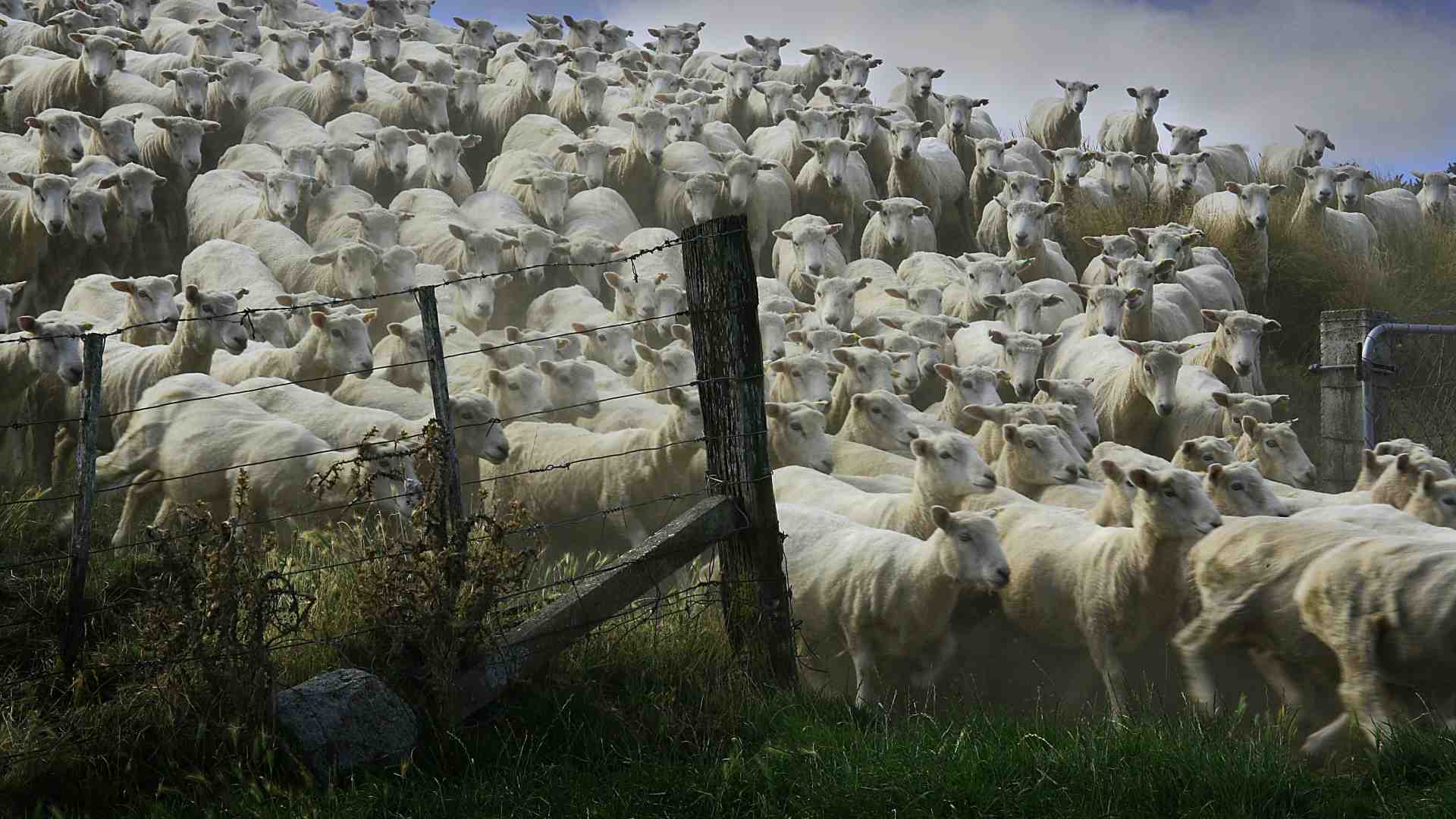 Immagine di Le mode ideologiche di oggi sono più volatili dell’ortodossia di partito, ma altrettanto terroristiche