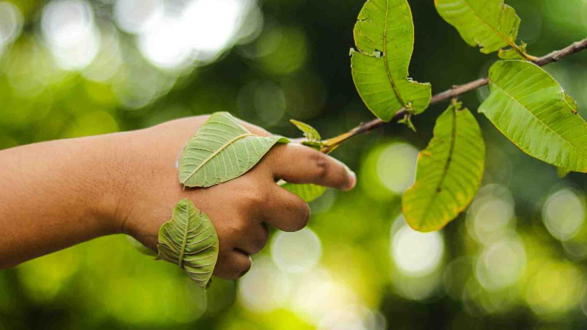 Immagine di Così i Greci insegnarono la physis ai primi cristiani