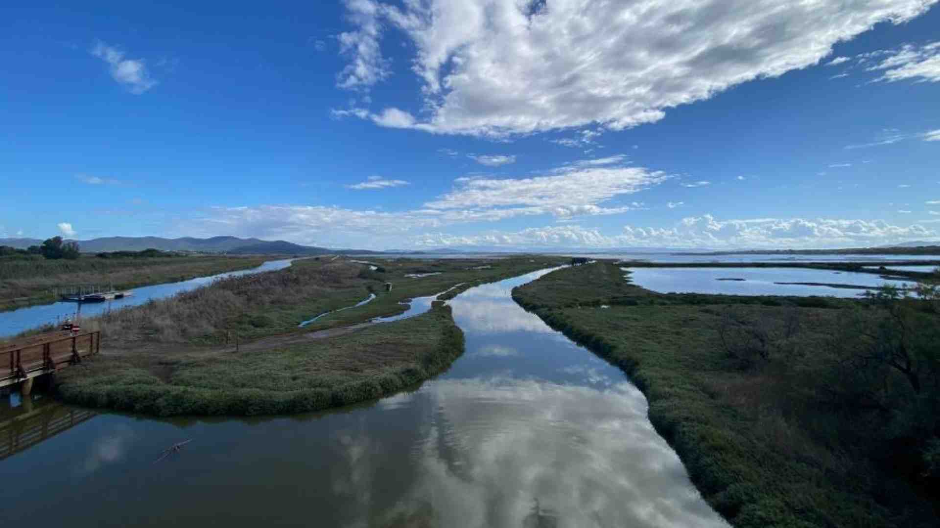 Immagine di Maremma che green. Viaggio nella Toscana più selvaggia