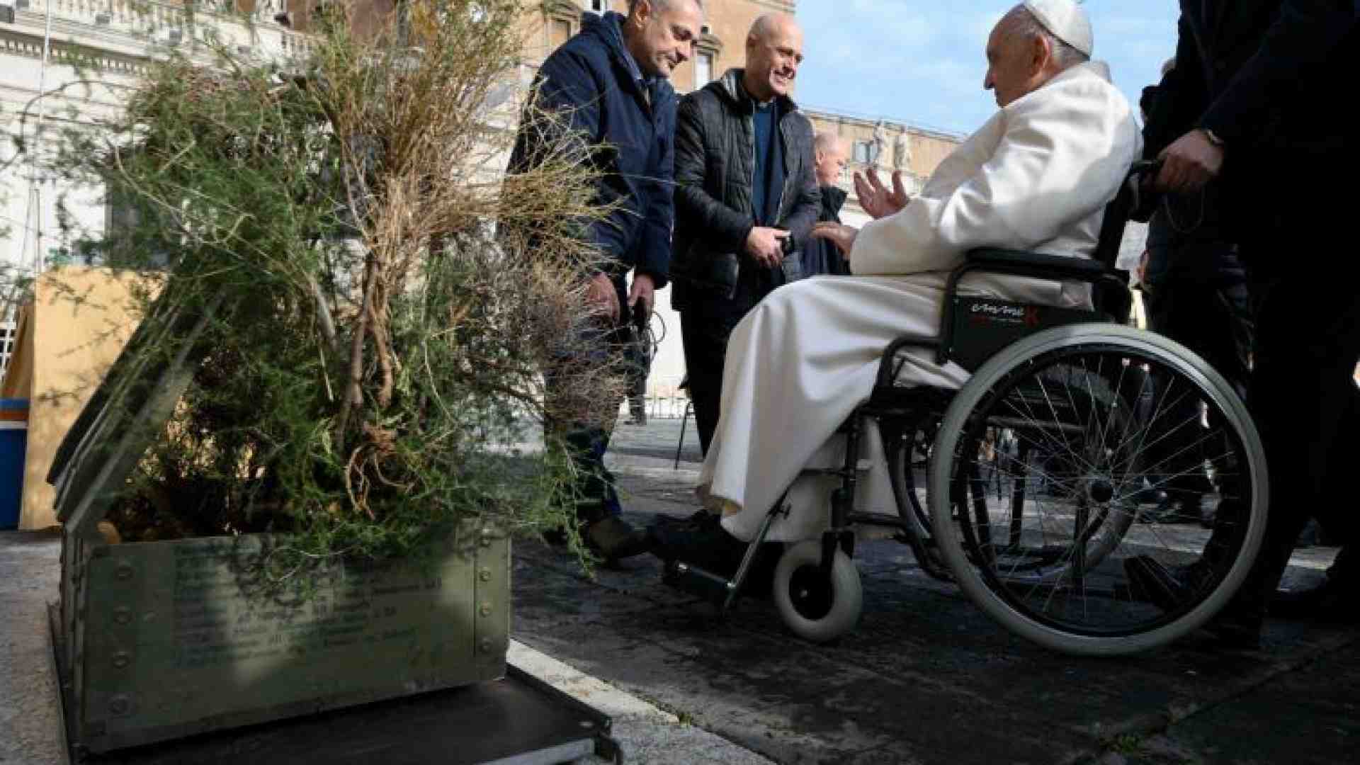 Immagine di Donata al Papa la cassa di munizioni russe diventata fioriera. «Segno di pace»