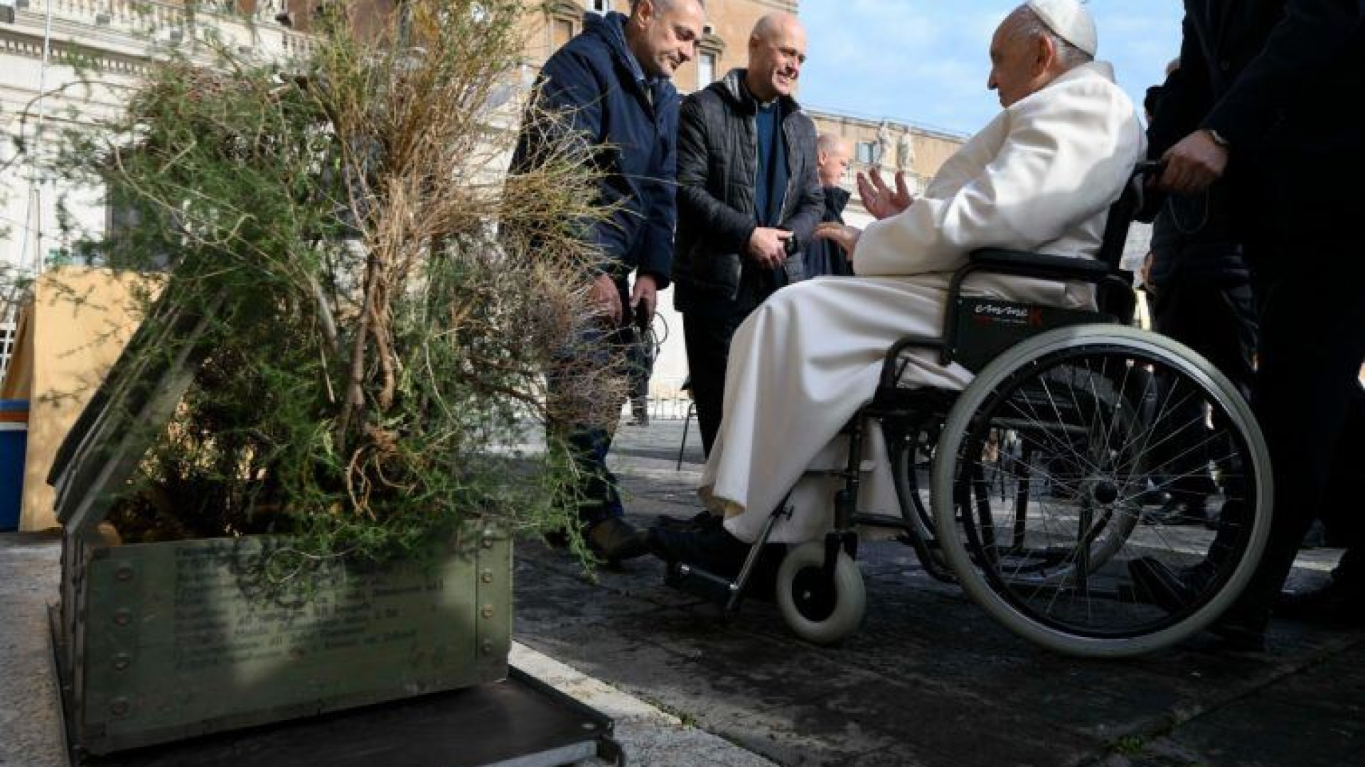 Immagine di Donata al Papa la cassa di munizioni russe diventata fioriera. «Segno di pace»
