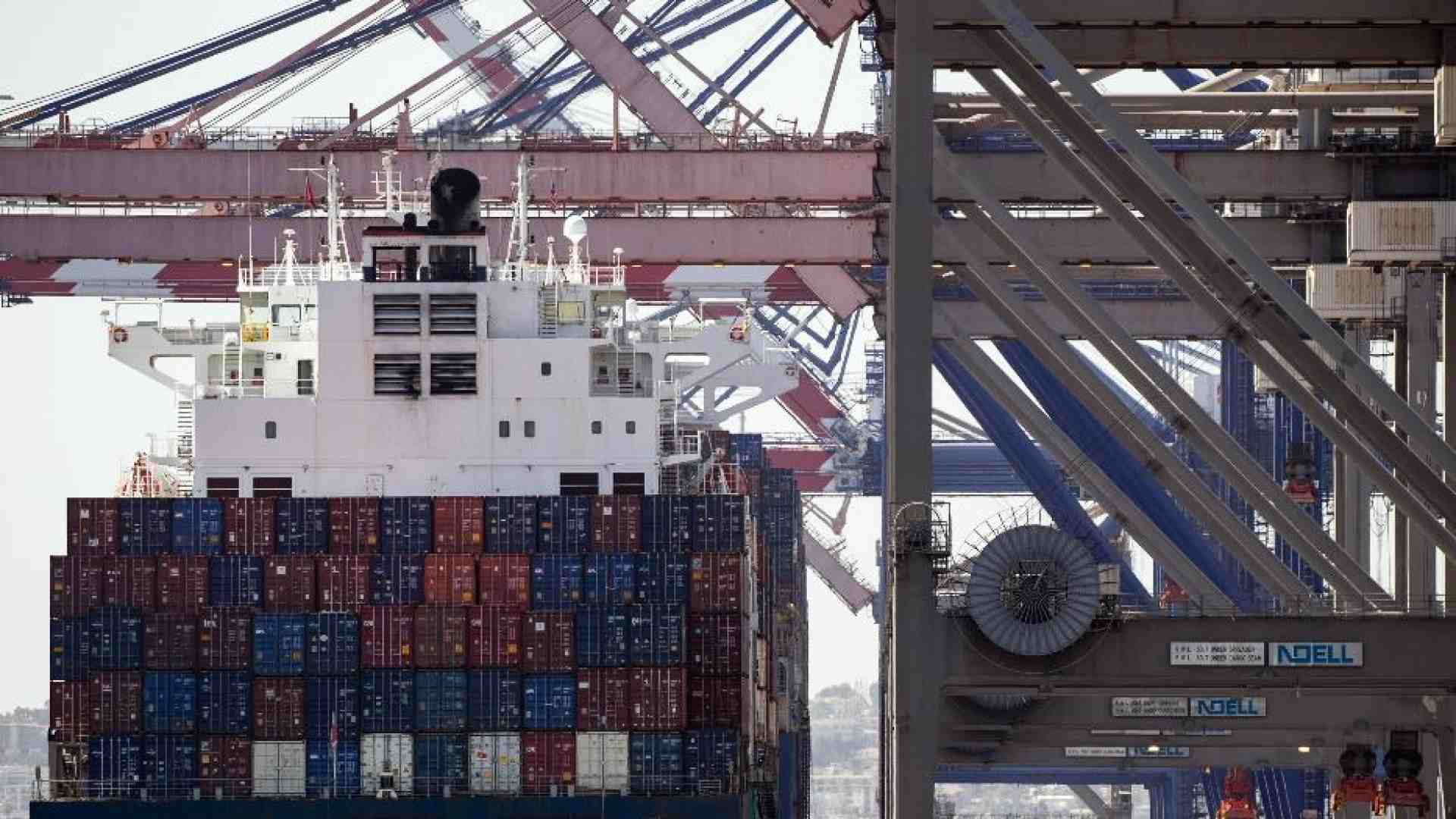 Immagine di Sequestrato a La Spezia un container di scatolette di tonno