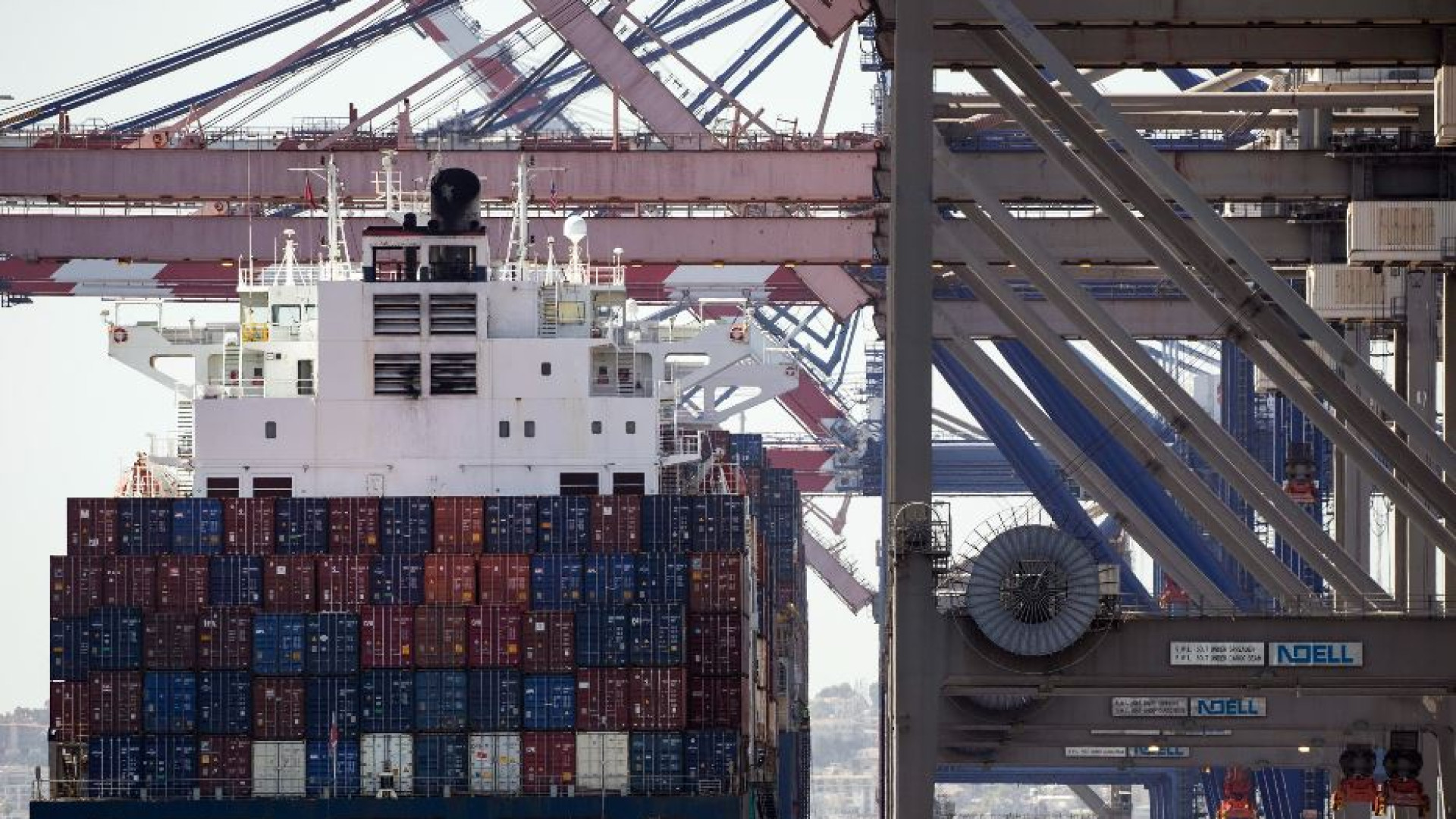 Immagine di Sequestrato a La Spezia un container di scatolette di tonno