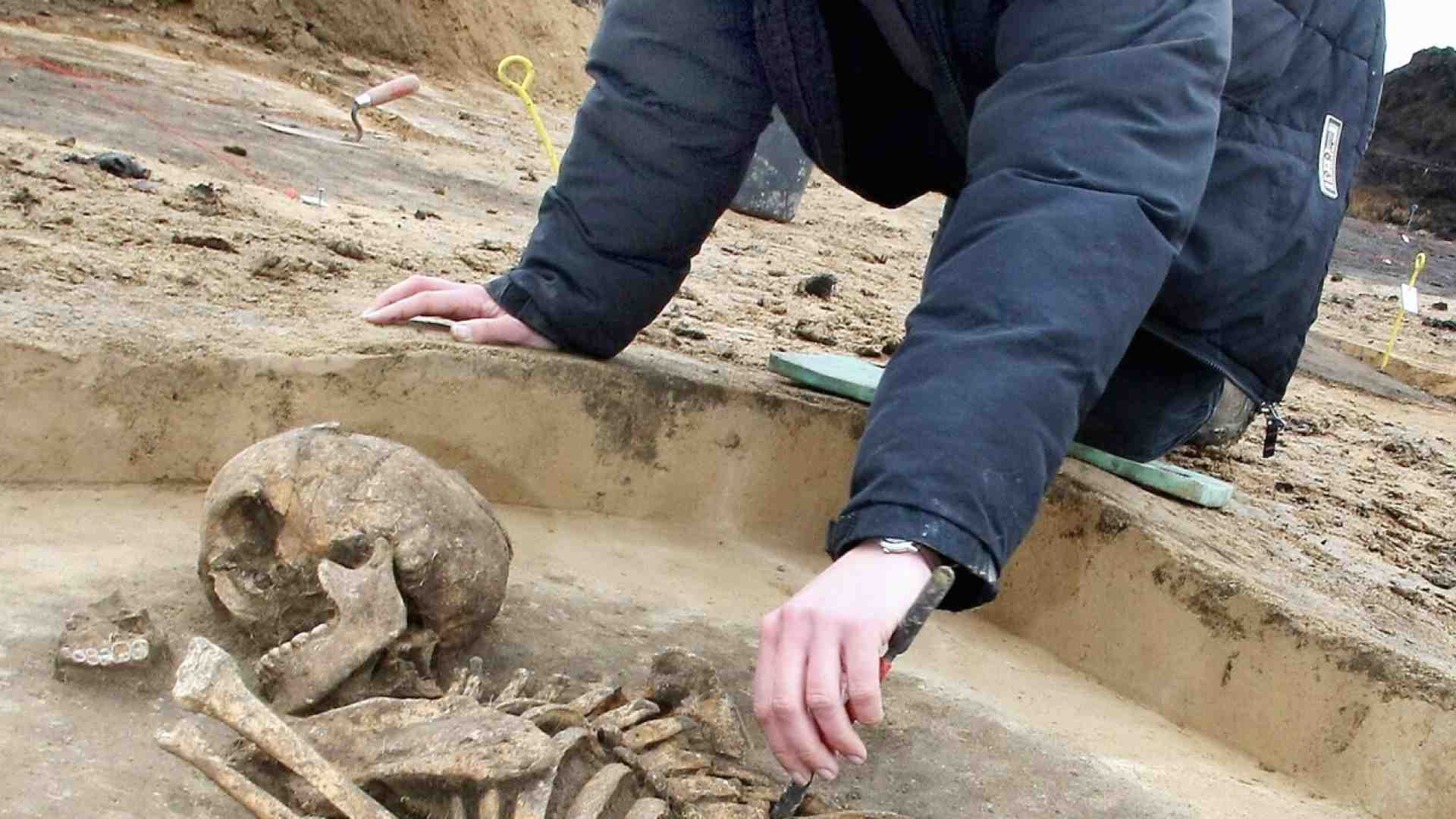 Immagine di L'esilarante queer archaeology che vuole identificare le ossa come “non binarie”