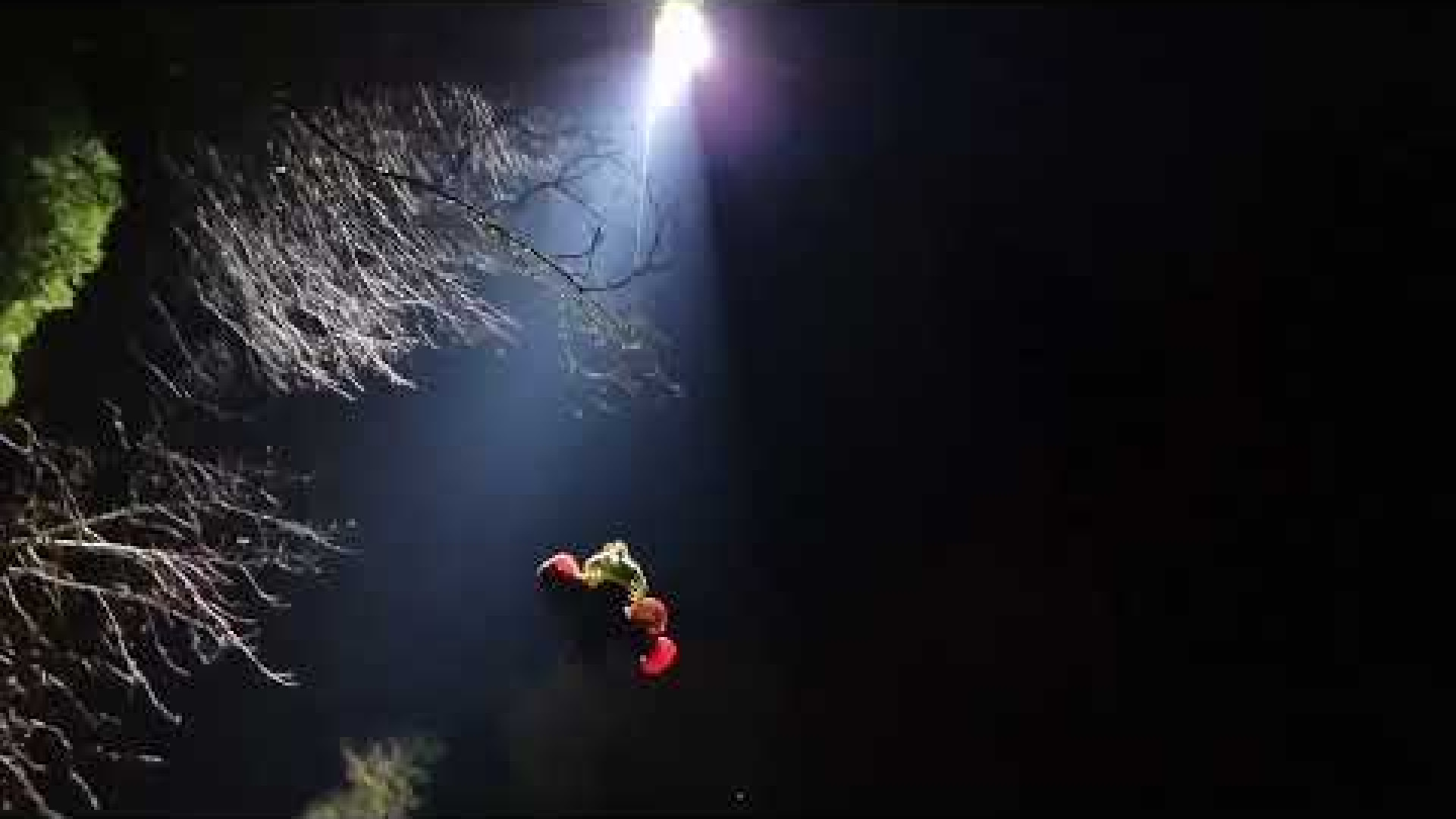 Immagine di È stata liberata la speleologa intrappolata nella grotta