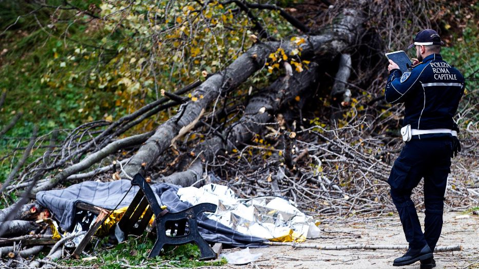 Immagine di Il vento, l'albero caduto: così mamma Francesca è morta davanti ai suoi bimbi