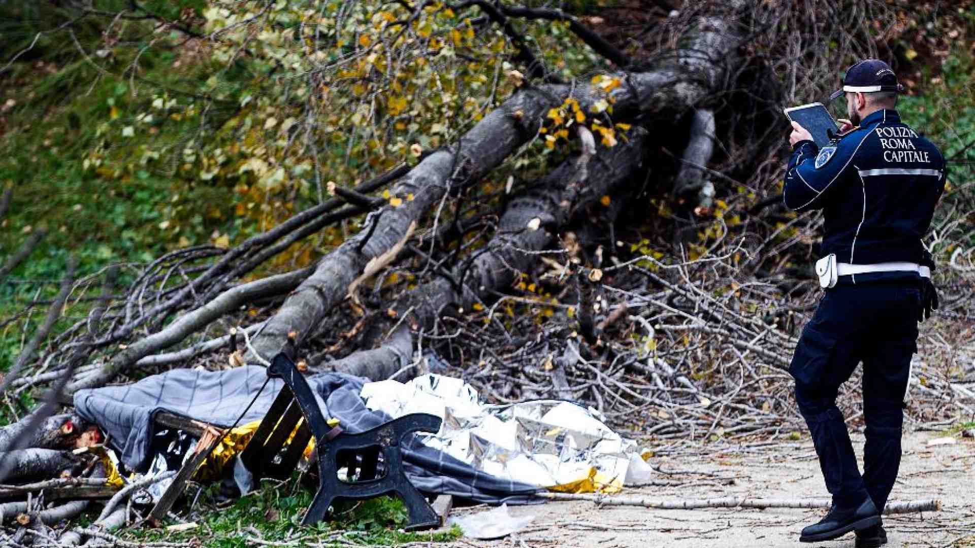 Immagine di Il vento, l'albero caduto: così mamma Francesca è morta davanti ai suoi bimbi