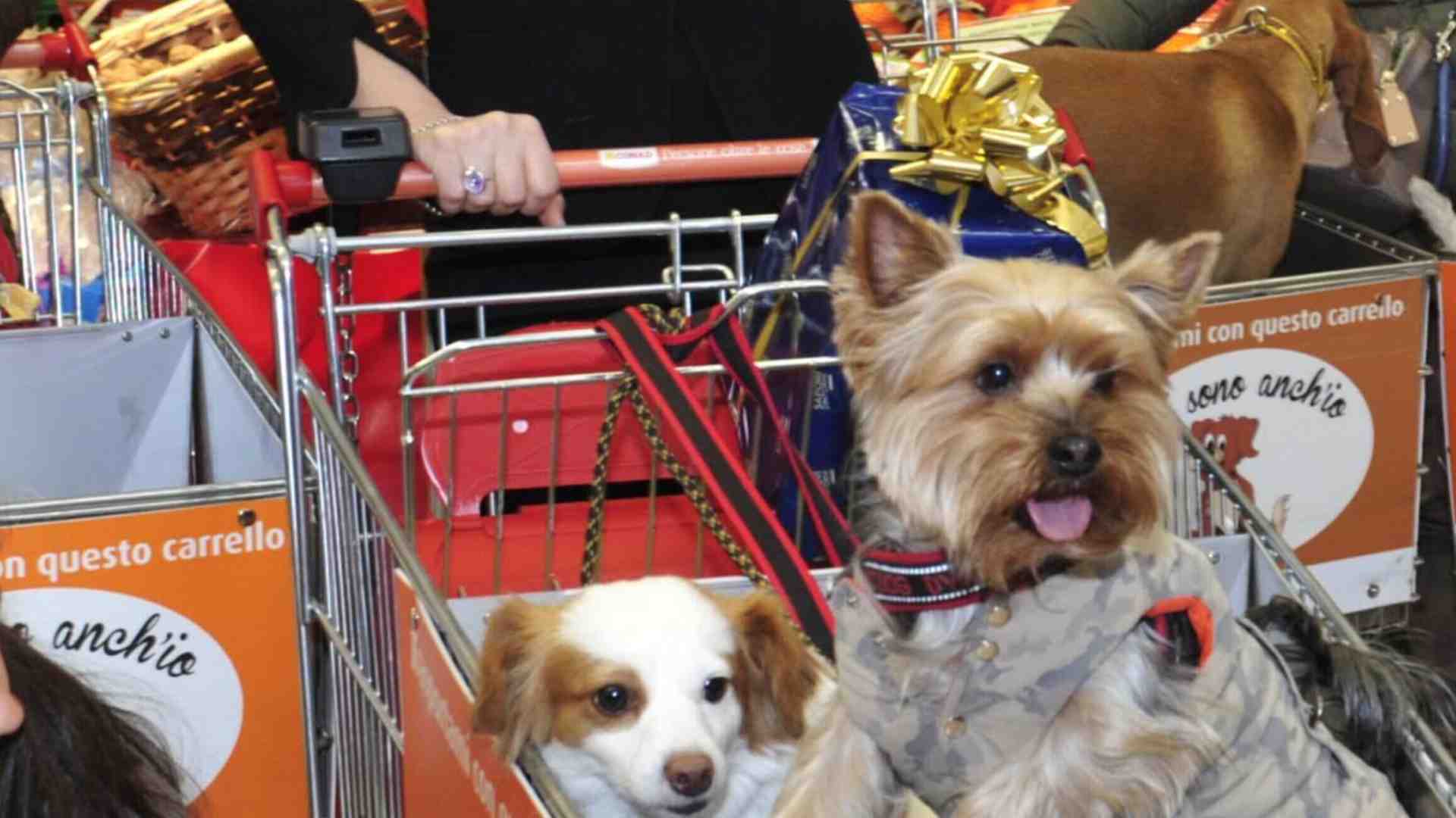 Immagine di Macché buon Natale: buon Canile!