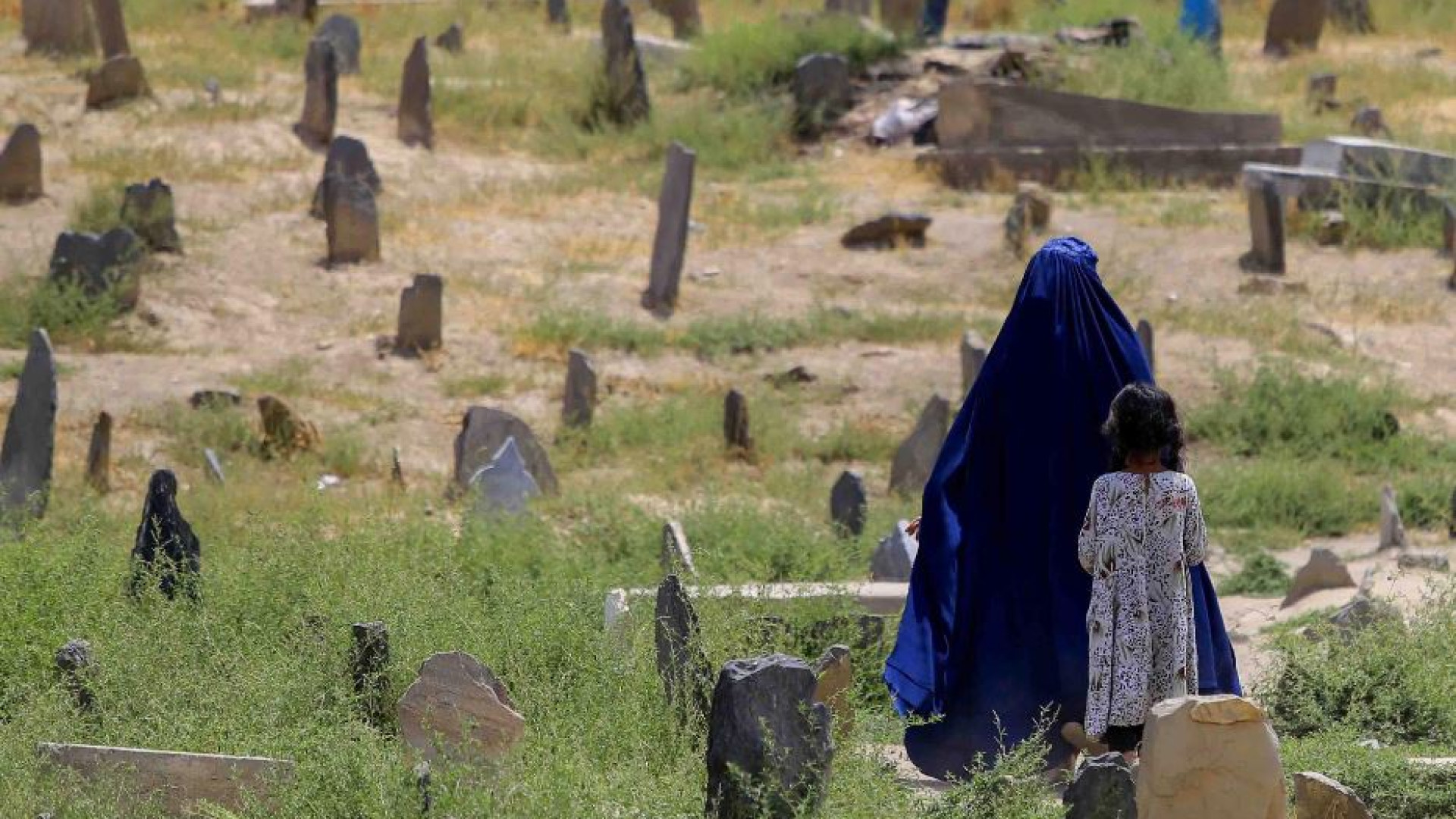 Immagine di I taleban murano le finestre delle donne di Kabul