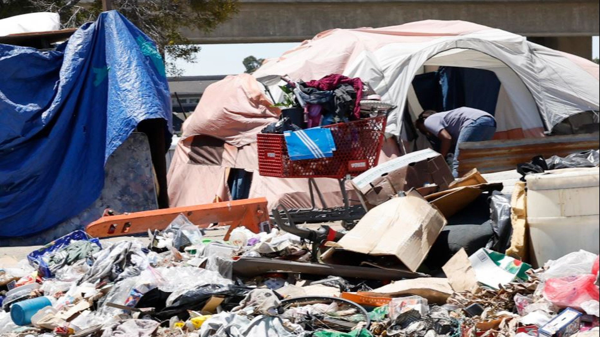 Immagine di Gli Usa scoprono gli invisibili: i senzatetto sono più di 770mila