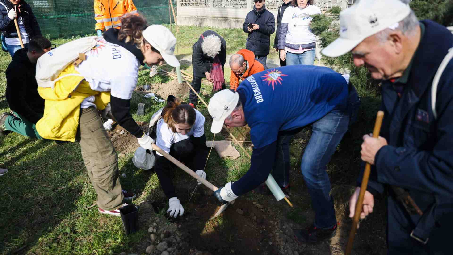 Immagine di No, non è mica facile piantare alberi