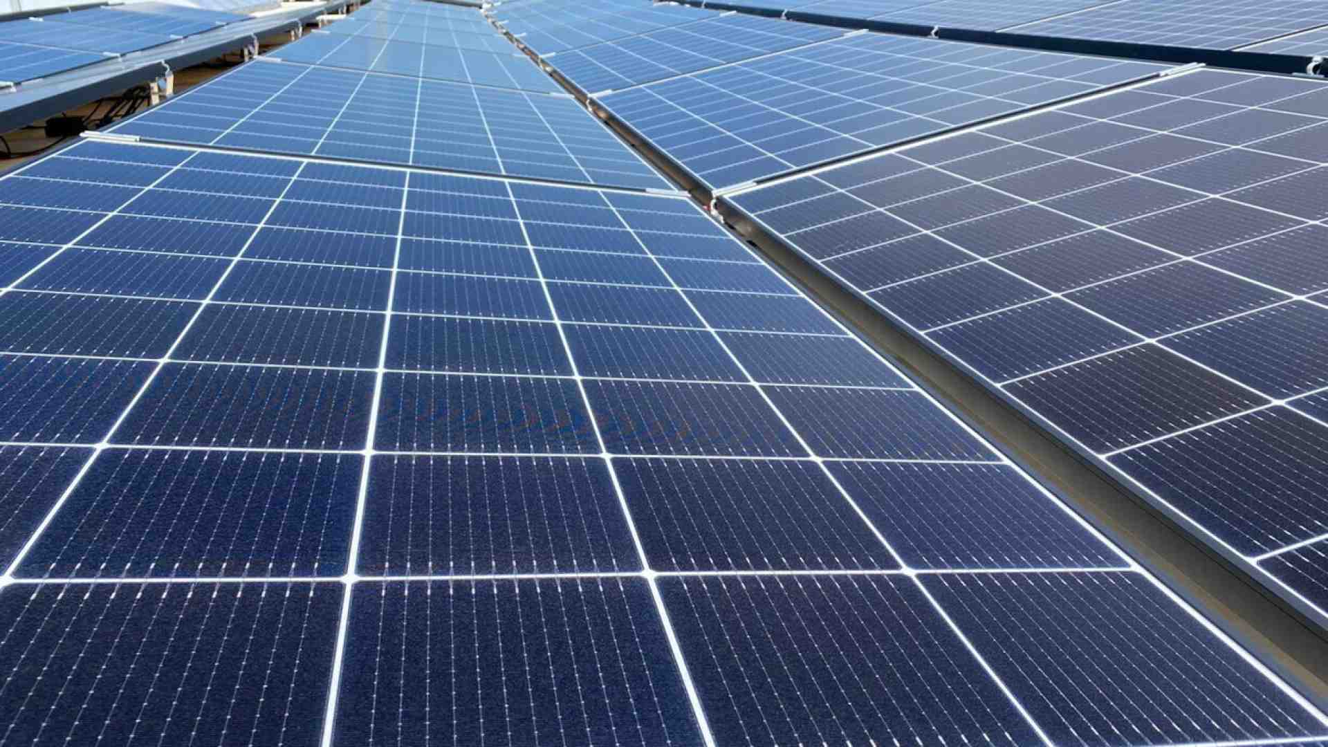 Immagine di Ecoansiogeni di tutto il mondo, abbiamo buone notizie per voi