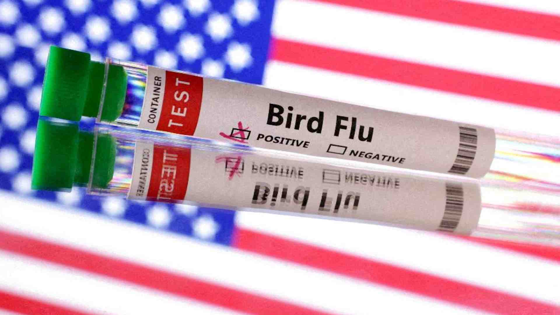 Immagine di Primo morto da influenza aviaria negli Stati Uniti, «monitoriamo la situazione»