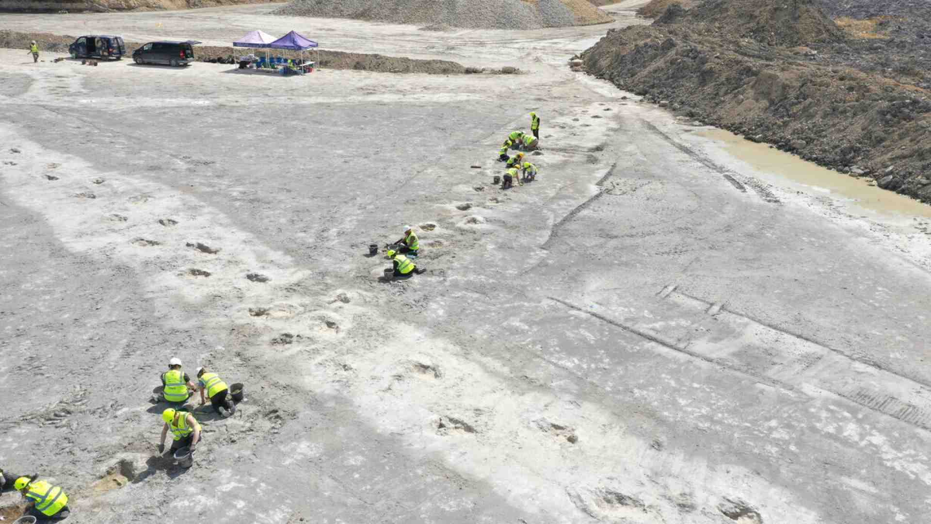 Immagine di Quelle orme di dinosauro in Inghilterra che portano alle origini della paleontologia