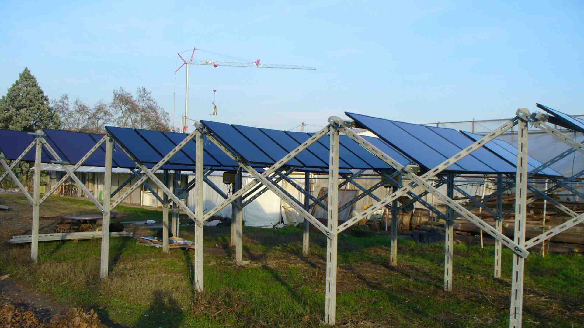 Immagine di I numeri dietro il boom di agrivoltaico nel 2024