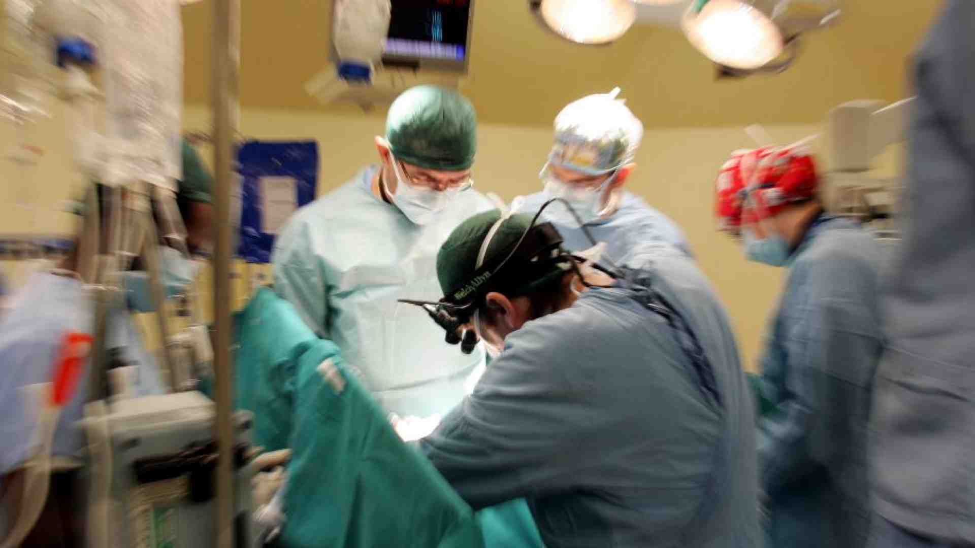 Immagine di Nel 2024 record di organi donati. «Ma tra i giovani troppi dinieghi»