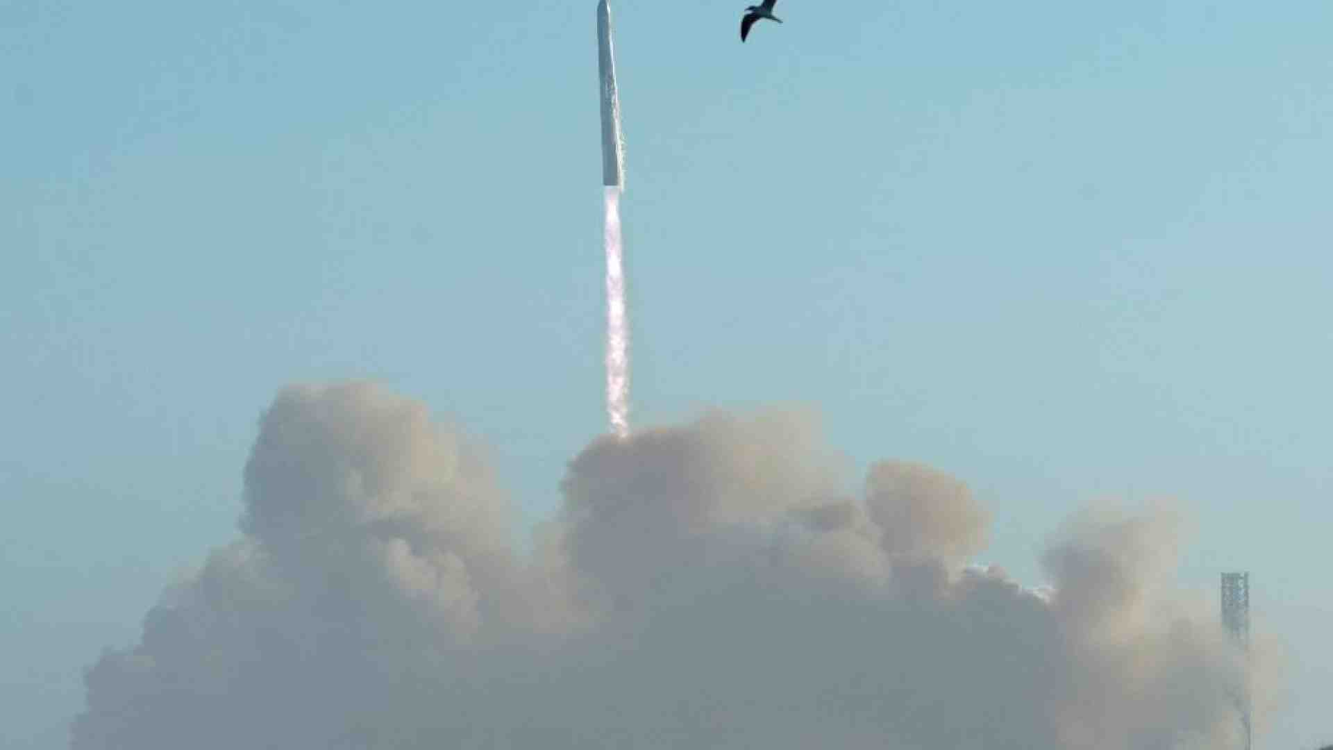 Immagine di SpaceX: successo a metà per Starship, con spettacolo nei cieli