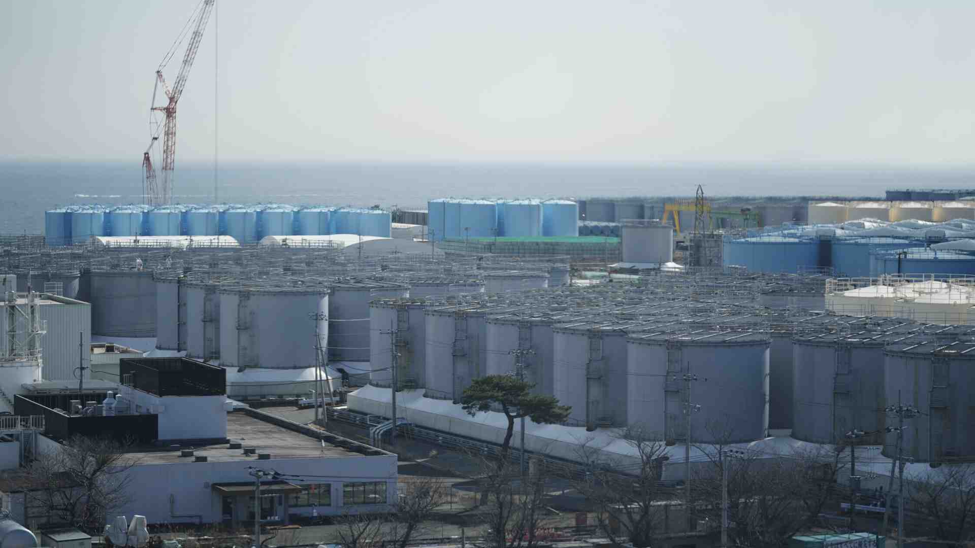 Immagine di Revival nucleare: perché nel mondo si investe sulle nuove centrali