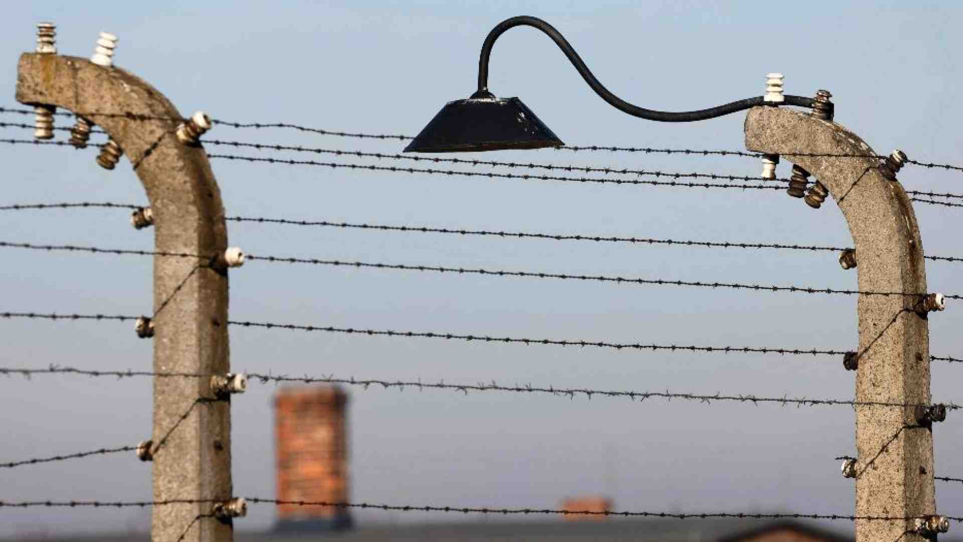 Immagine di Il dramma dell'oblio della Shoah: perché non dobbiamo smettere di guardare