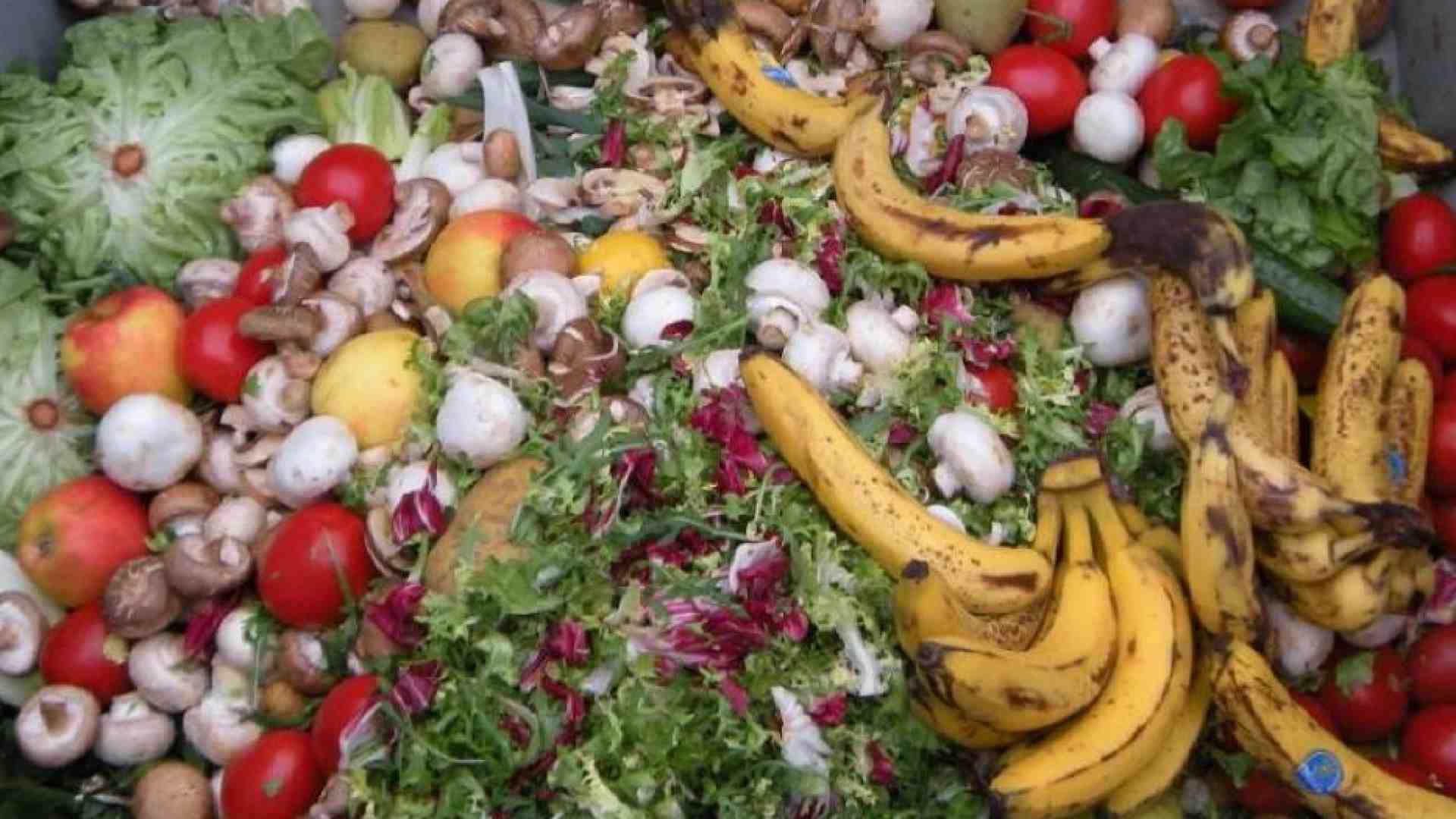 Immagine di Lo spreco a tavola continua a crescere. E sono i più poveri a buttare più cibo