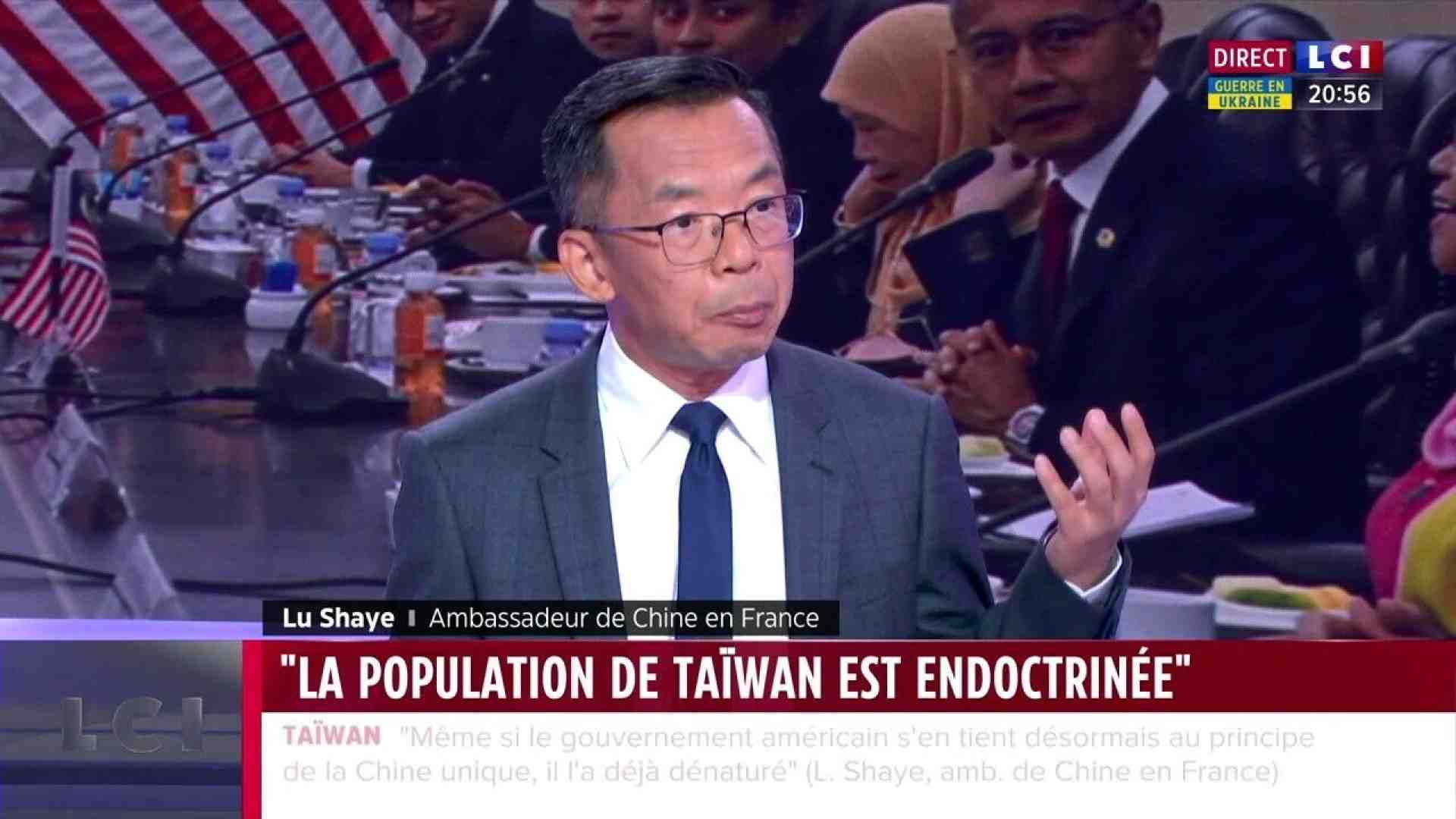 Immagine di Arriva un nuovo lupo a Bruxelles, si chiama Lu Shaye