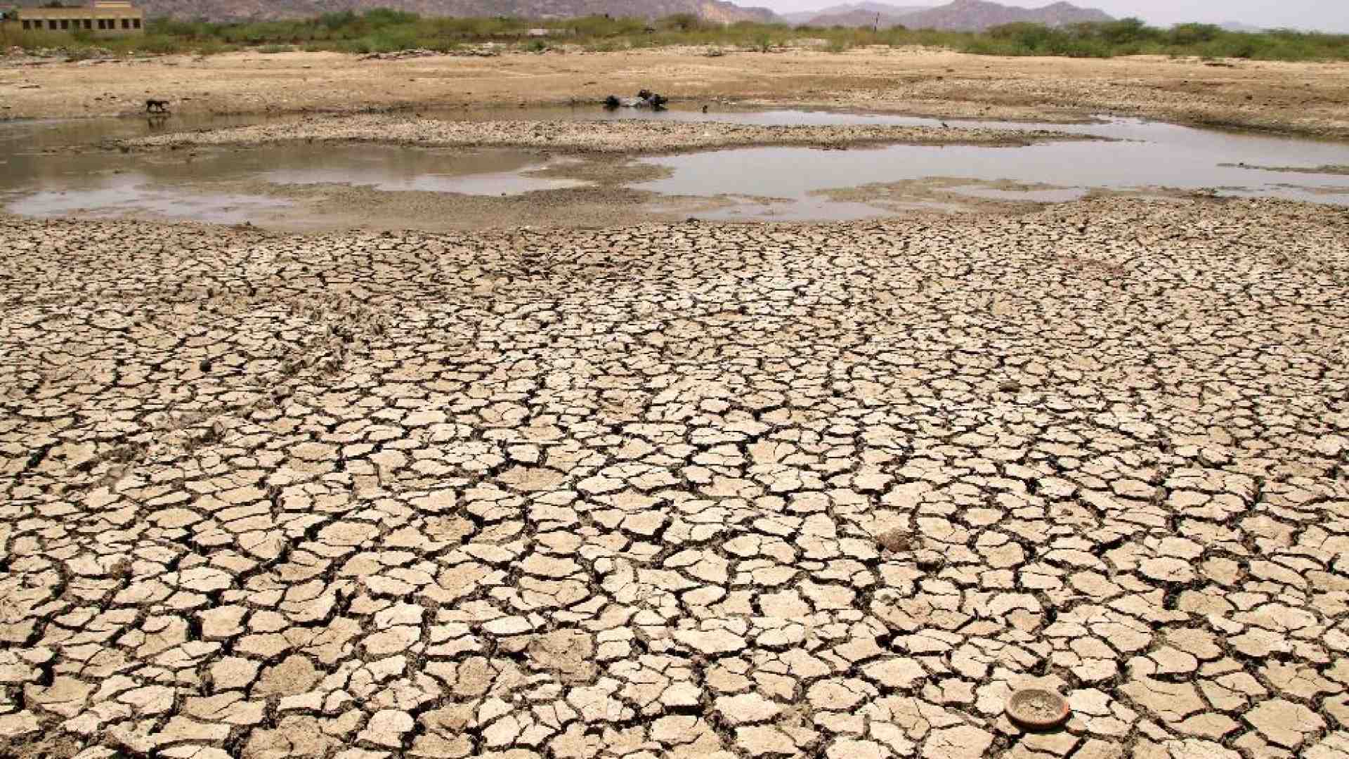 Immagine di L’uragano Donald si abbatte sul clima. E preoccupa