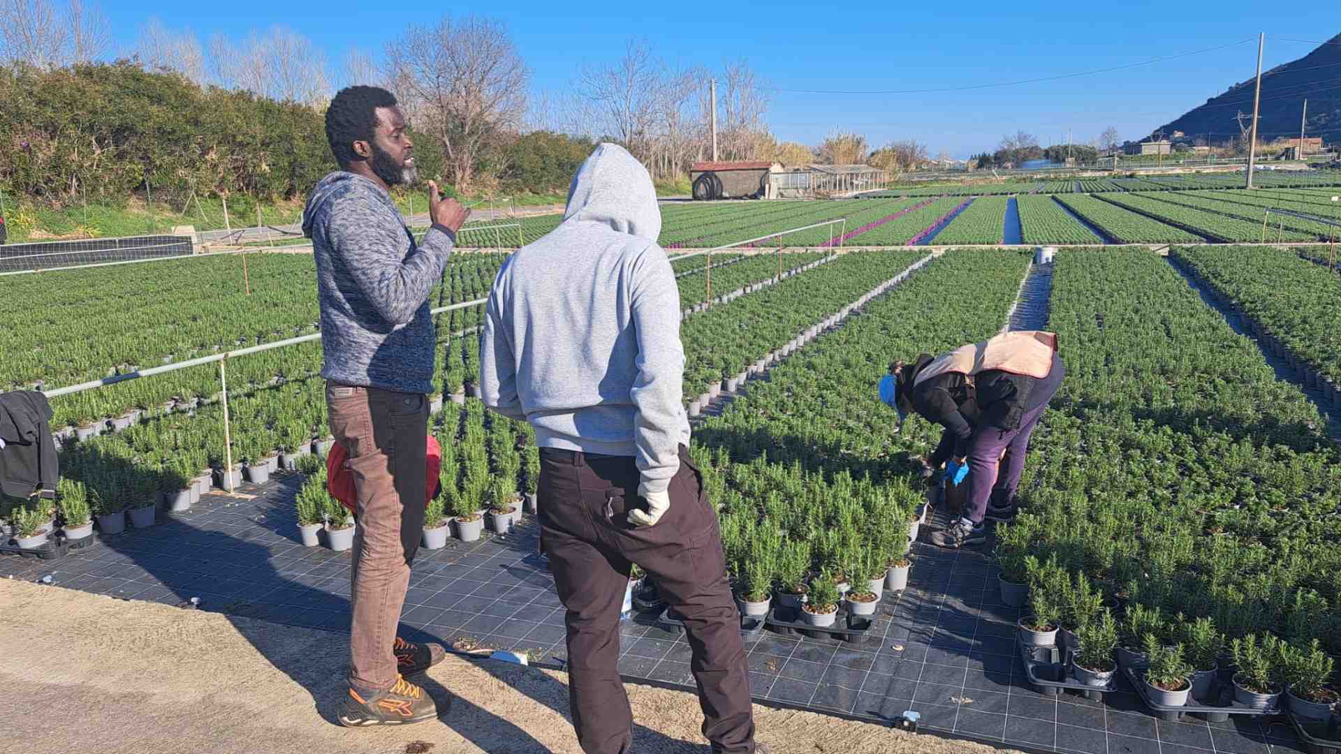 Immagine di Un sindacalista tra gli sfruttati. «Nei campi raccolgo le loro denunce»