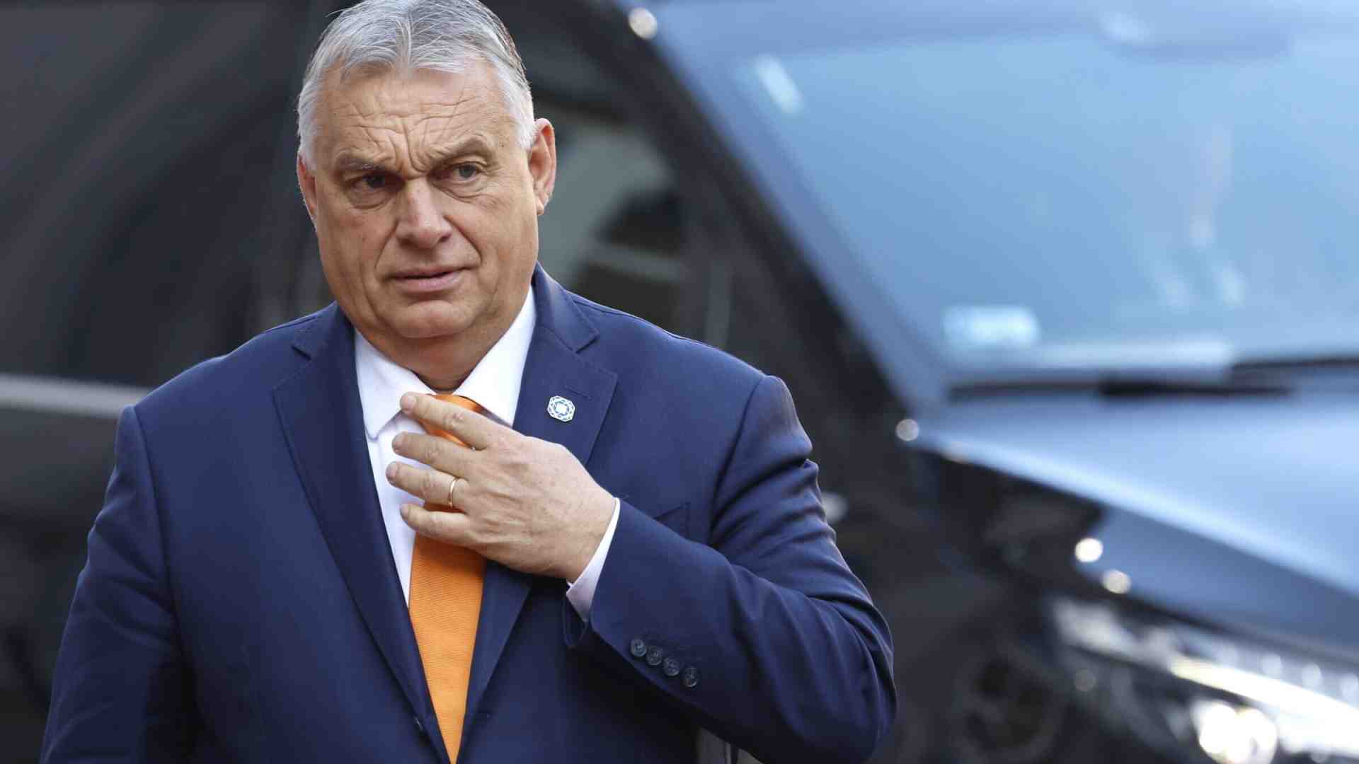 Immagine di Orbán spezza l'isolamento dell'AfD per il suo piano antieuropeo