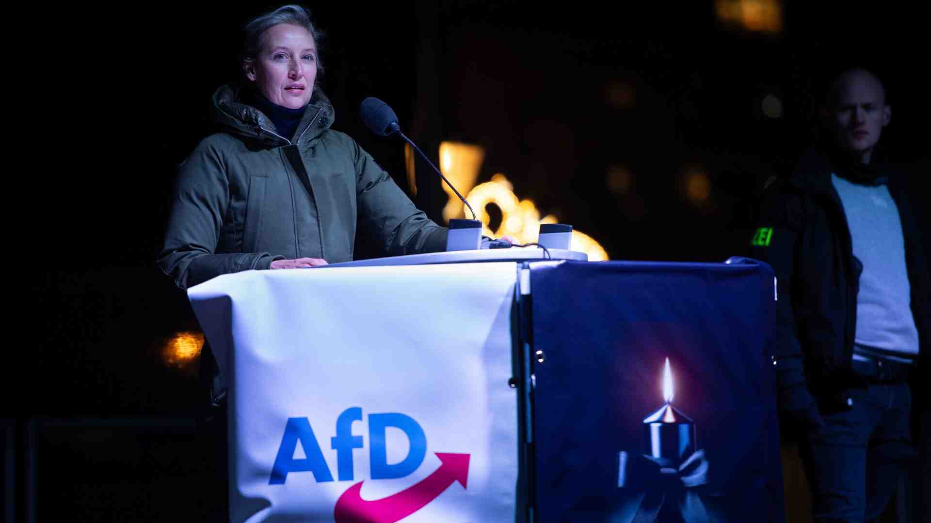 Immagine di Oggi su X s’incontrano Musk e Weidel , ma non tutta l’AfD gongola